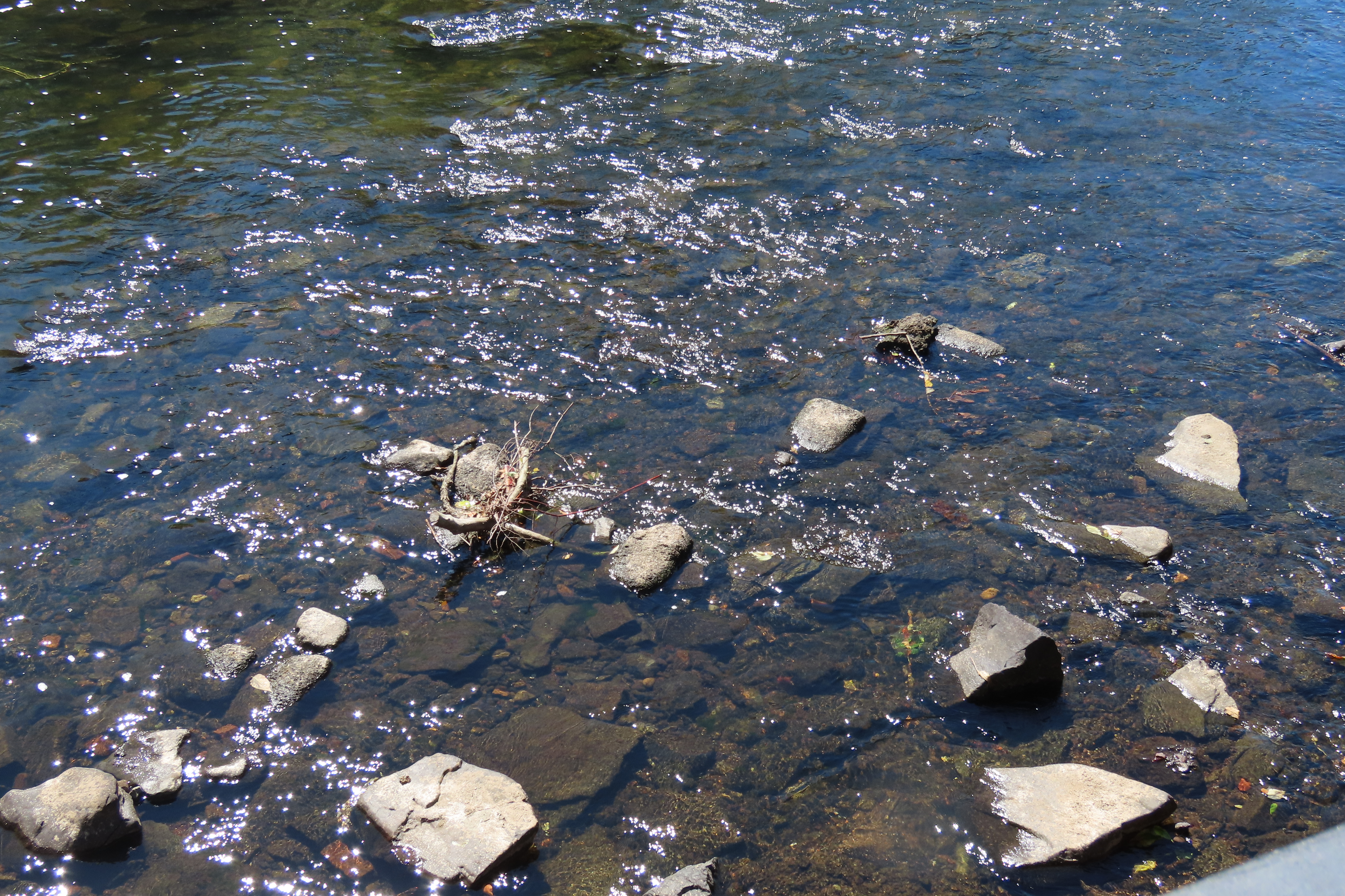 Blackstone River RI 28 of 34 (#8764)