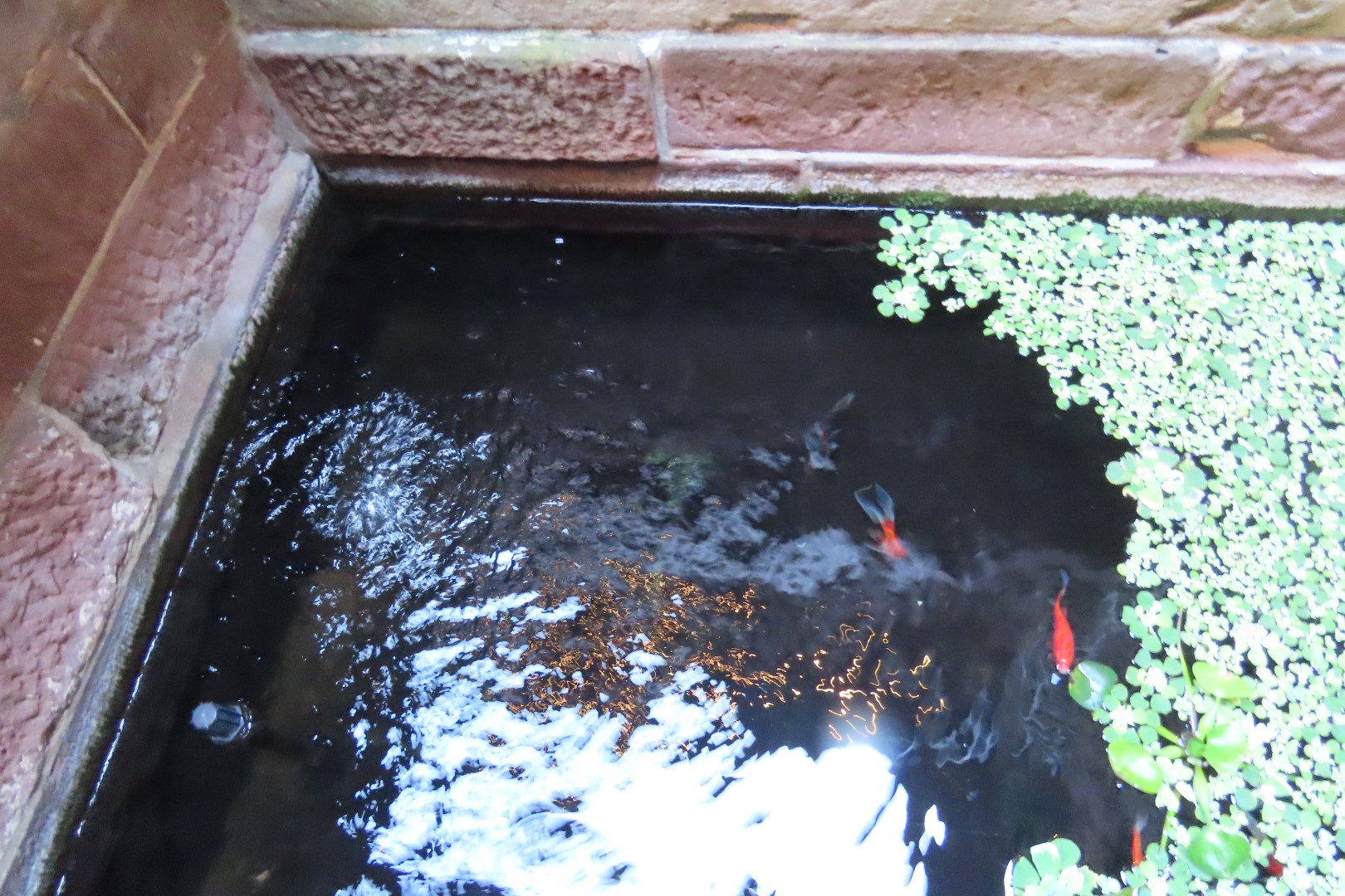 Salem MA and the Witch Trials 32 of 39 (#8865)