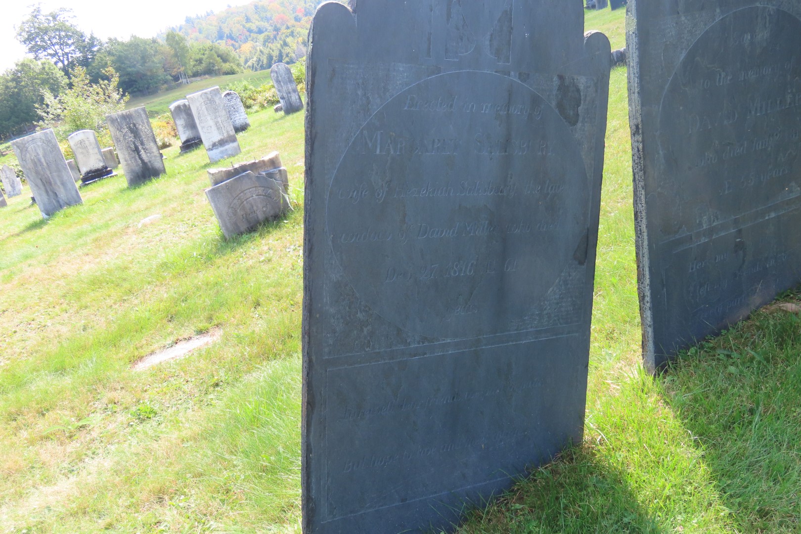 Cemeteries in Windham County VT Marlboro Cemetery  2 of 17 (#8902)