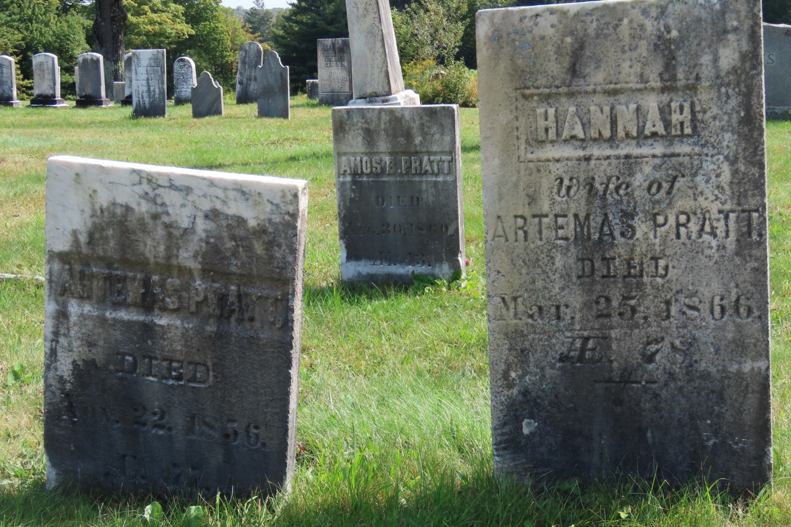 Cemeteries in Windham County VT Marlboro Cemetery  3 of 17 (#8903)