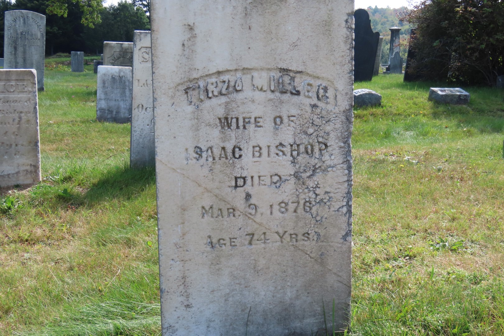 Cemeteries in Windham County VT Marlboro Cemetery  8 of 17 (#8908)