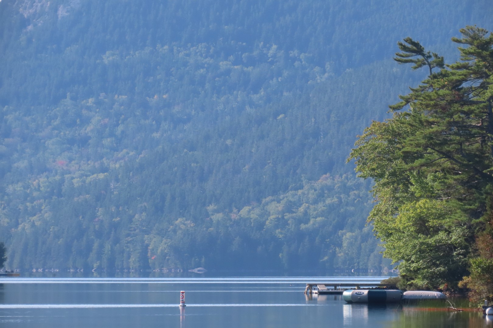 Acadia NP  5 of 46 (#8954)