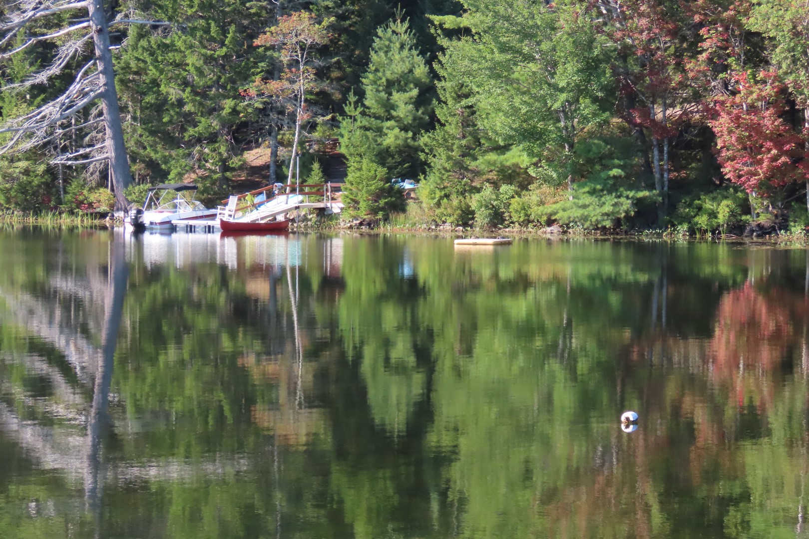Acadia NP  6 of 46 (#8955)