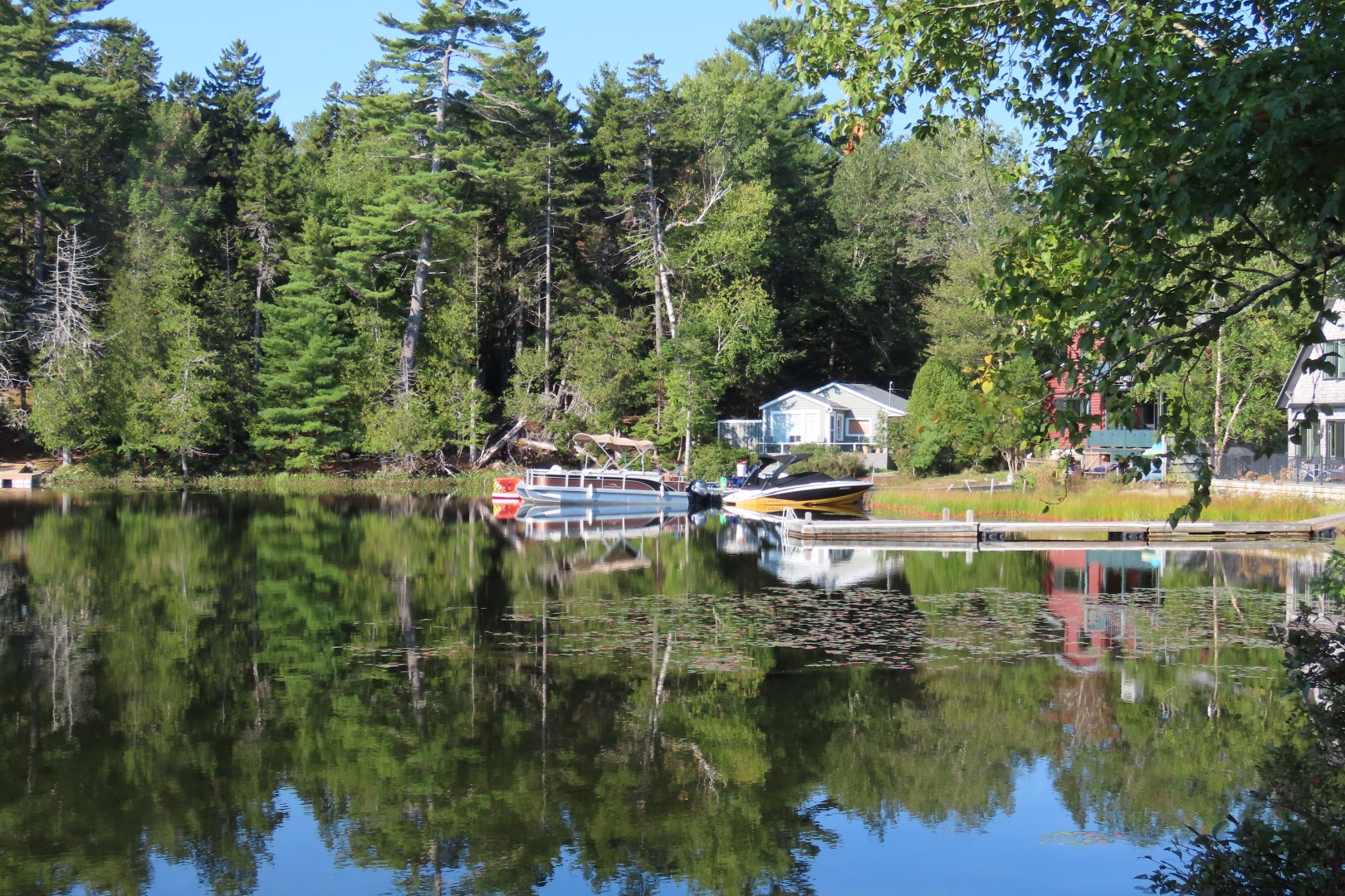 Acadia NP  7 of 46 (#8956)