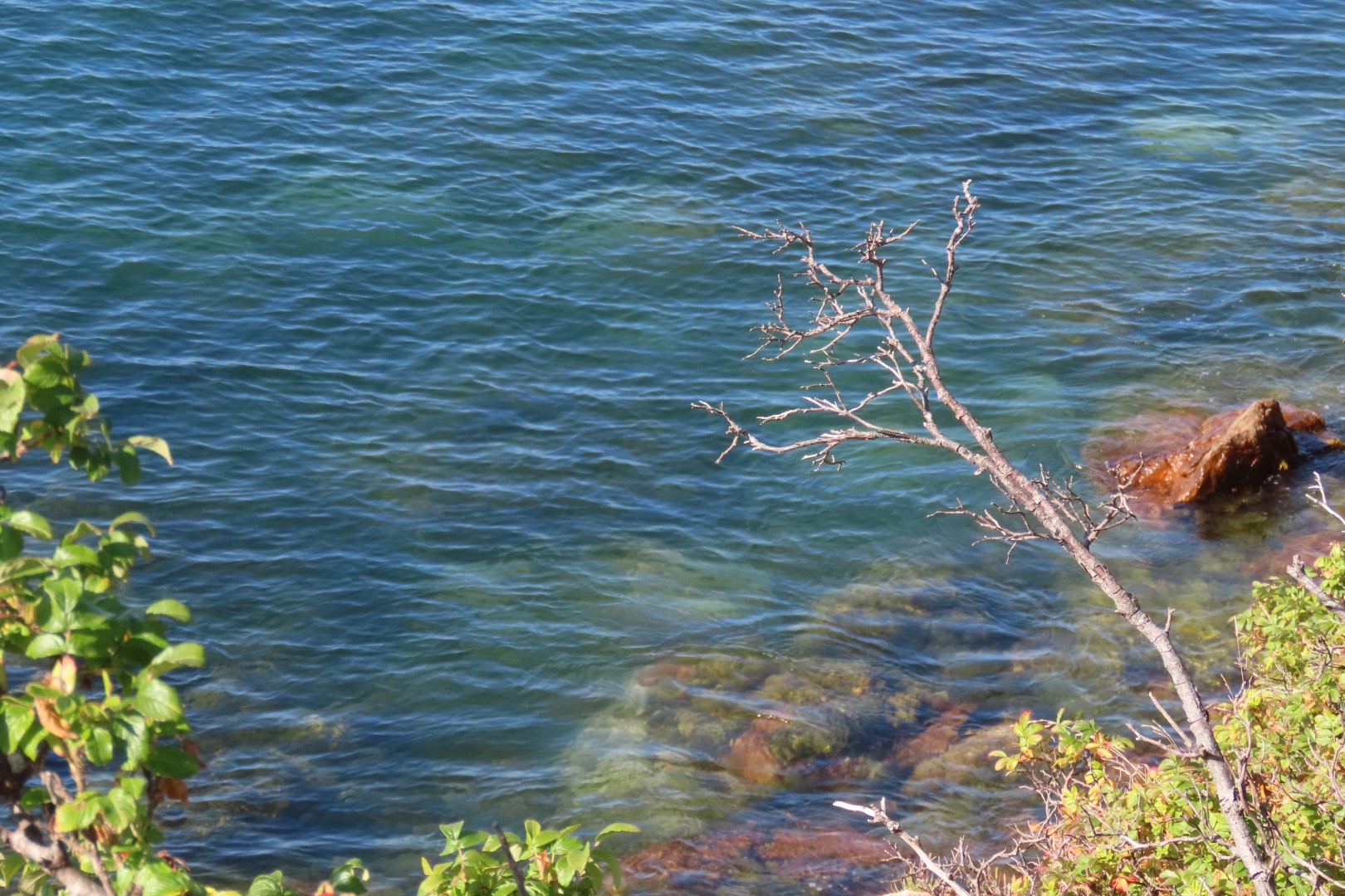 Acadia NP 13 of 46 (#8962)