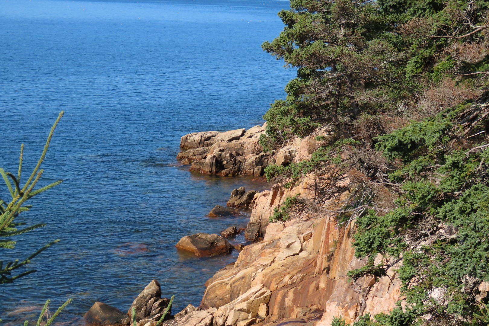 Acadia NP 15 of 46 (#8964)