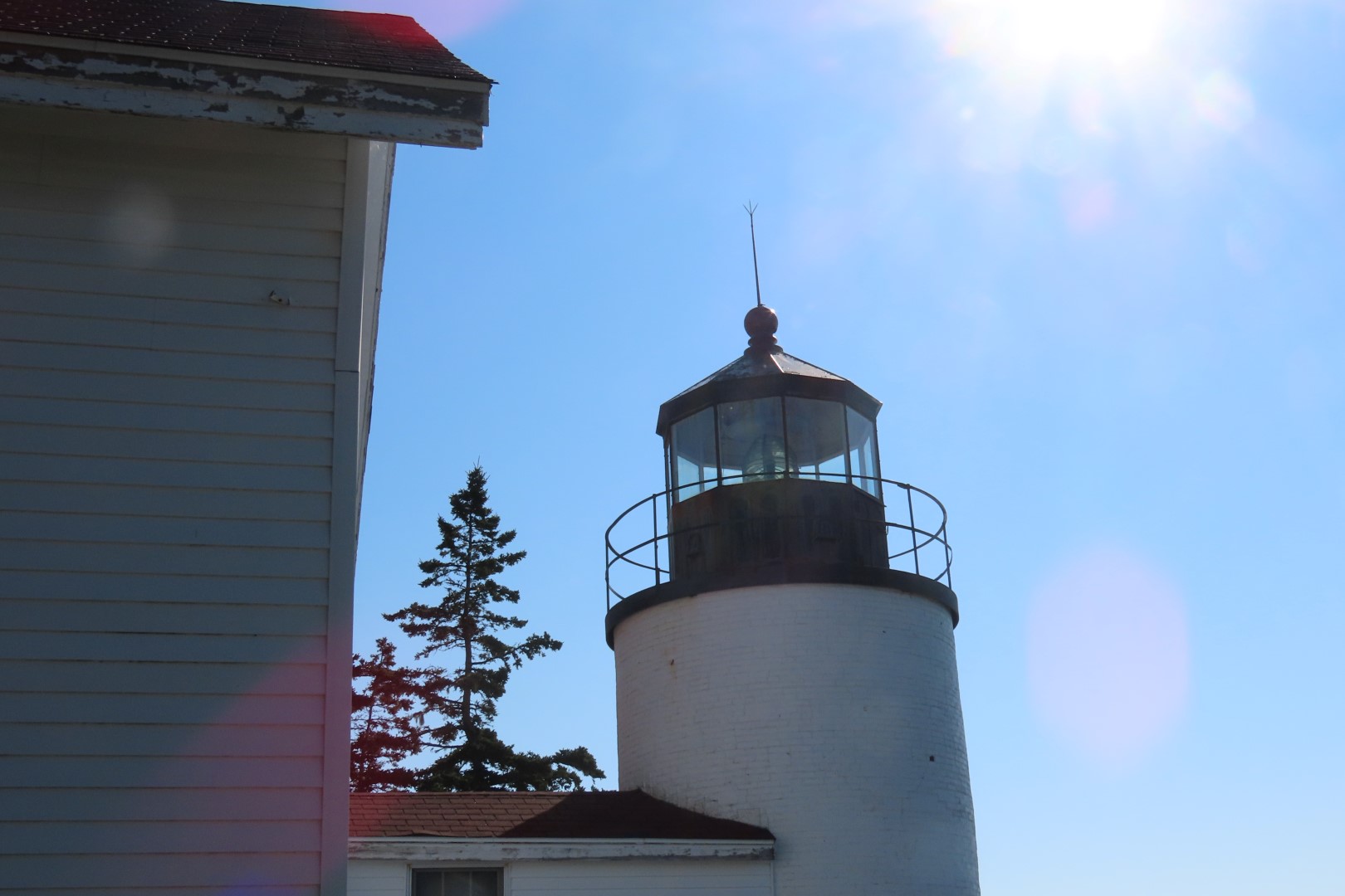 Acadia NP 16 of 46 (#8965)