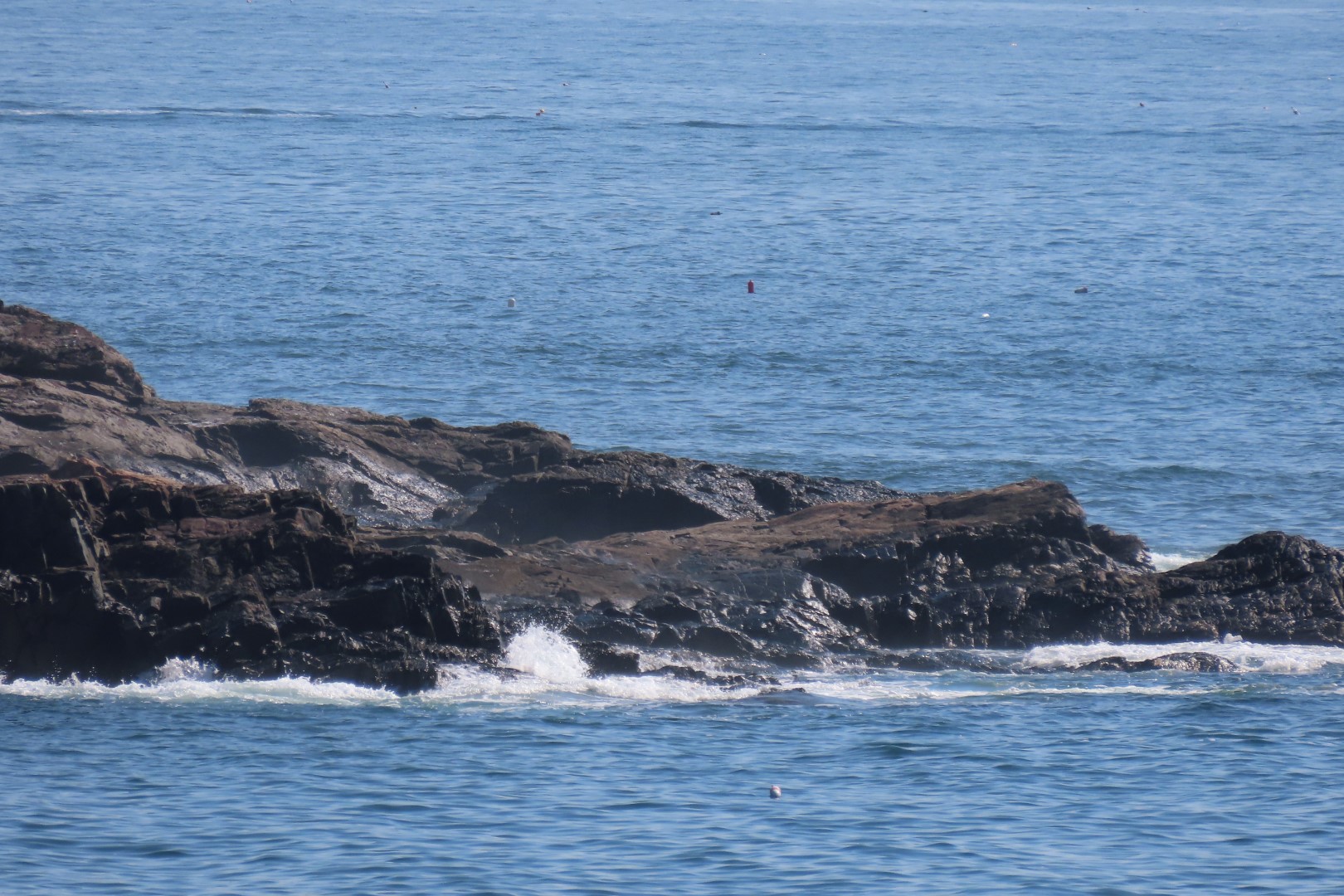Acadia NP 23 of 46 (#8972)