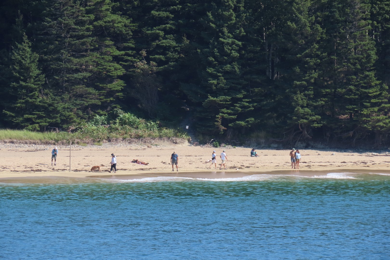 Acadia NP 25 of 46 (#8974)