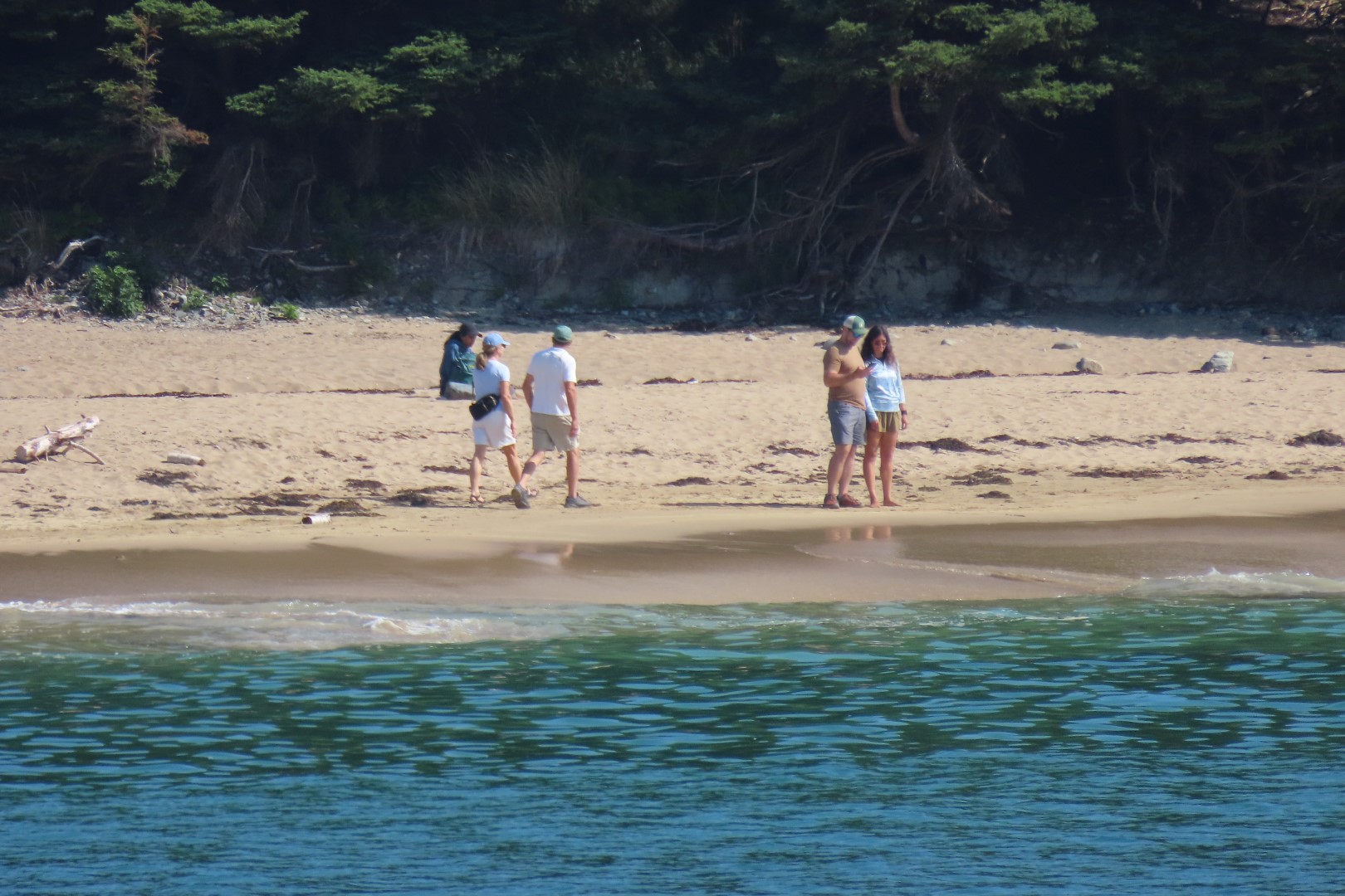 Acadia NP 26 of 46 (#8975)
