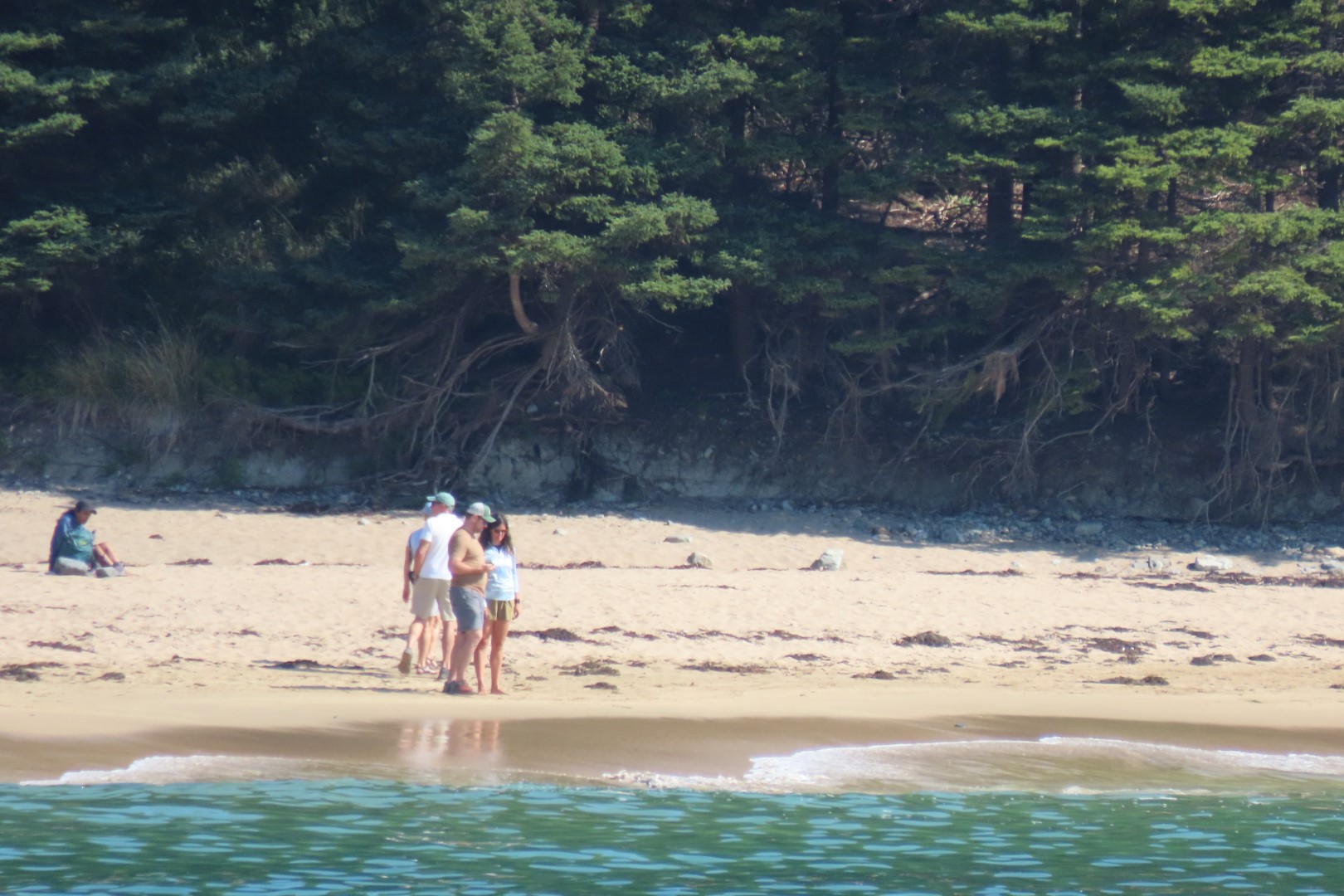 Acadia NP 27 of 46 (#8976)