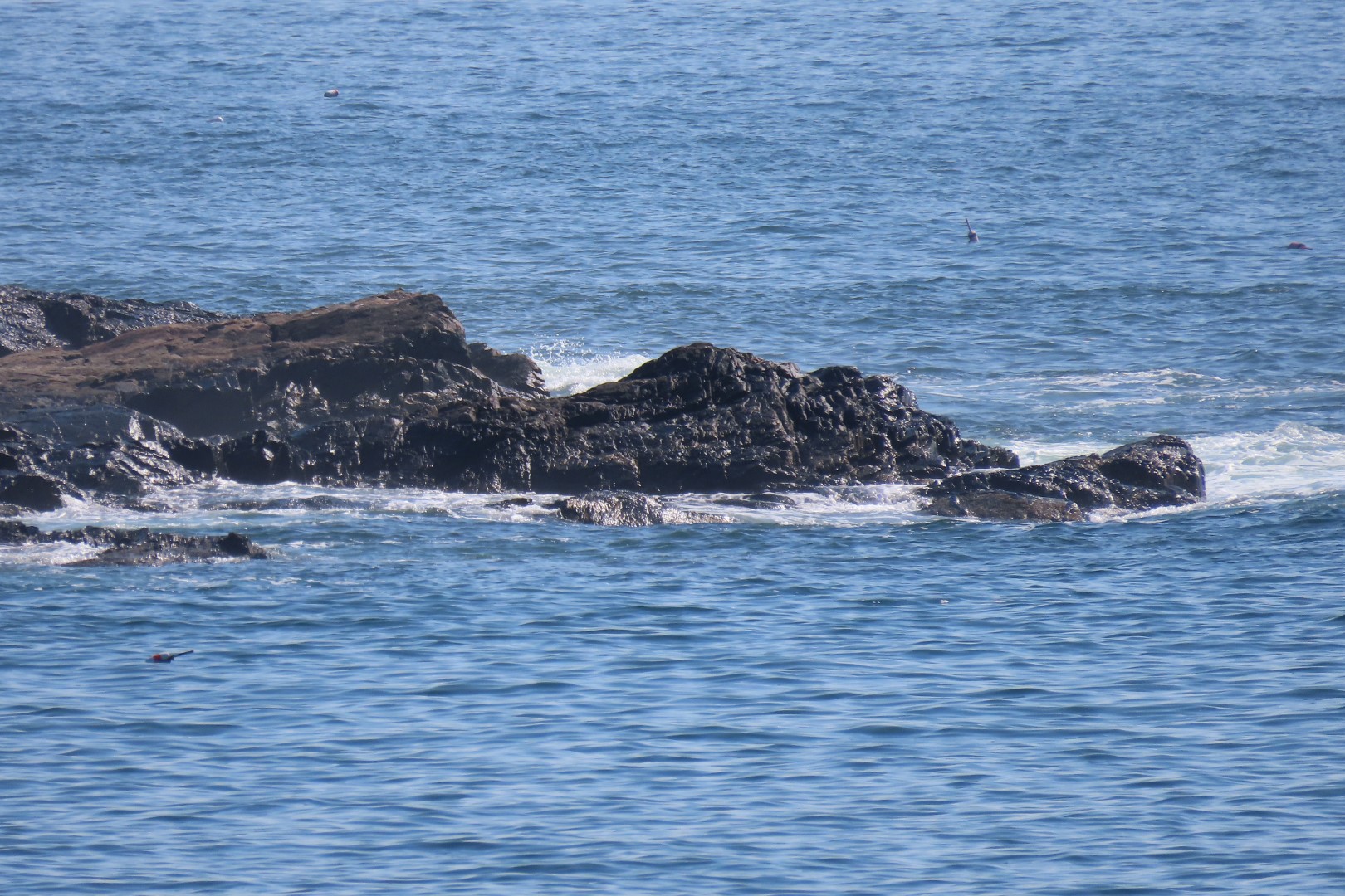 Acadia NP 29 of 46 (#8978)