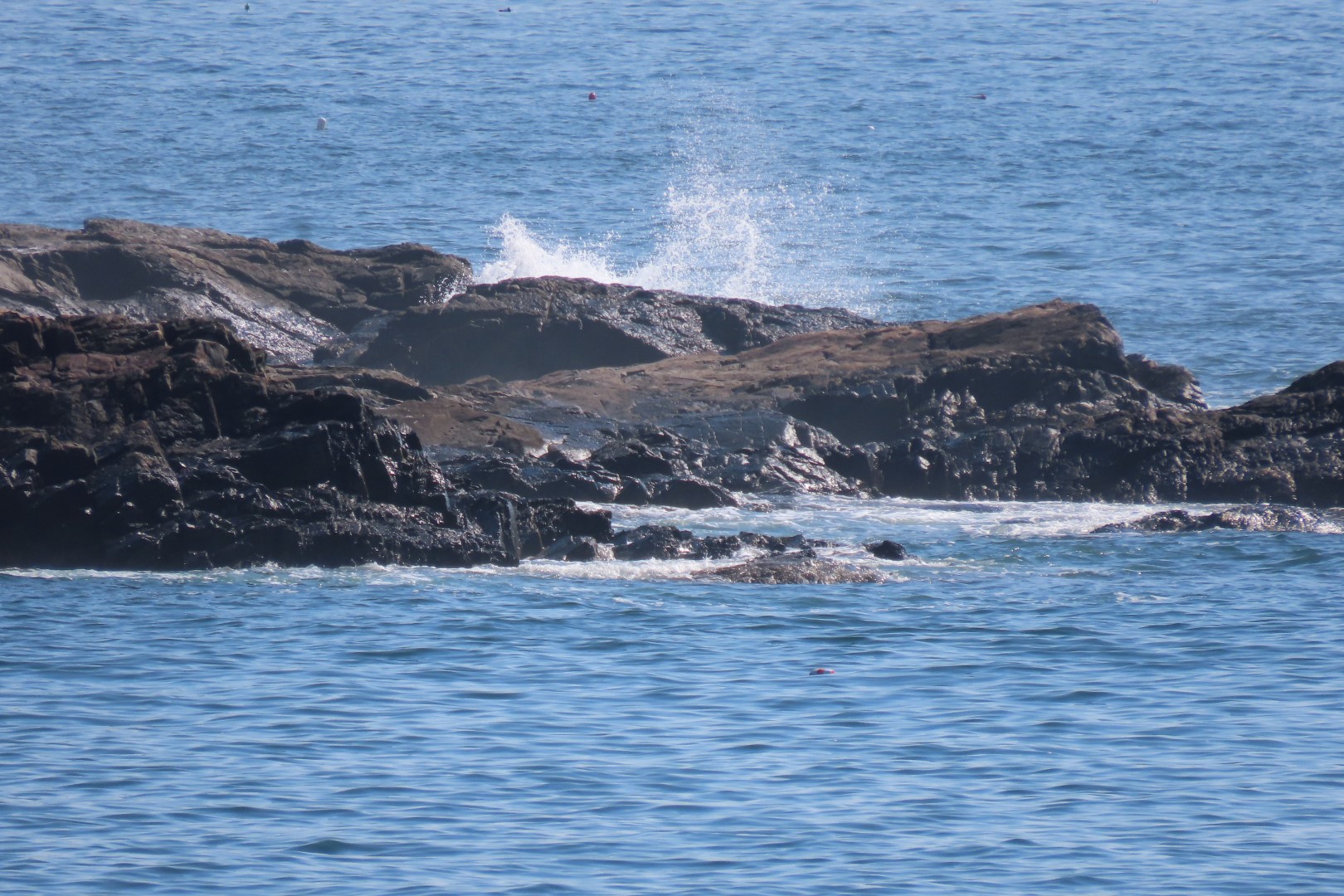 Acadia NP 30 of 46 (#8979)