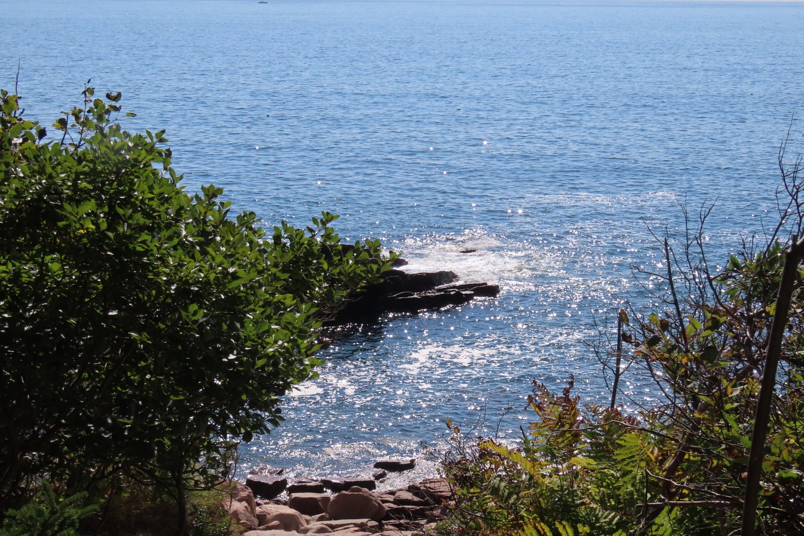 Acadia NP 32 of 46 (#8981)