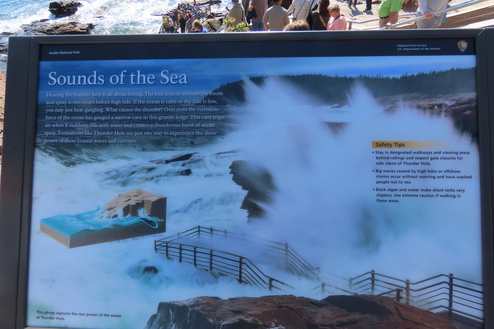 Acadia NP 35 of 46 (#8984)