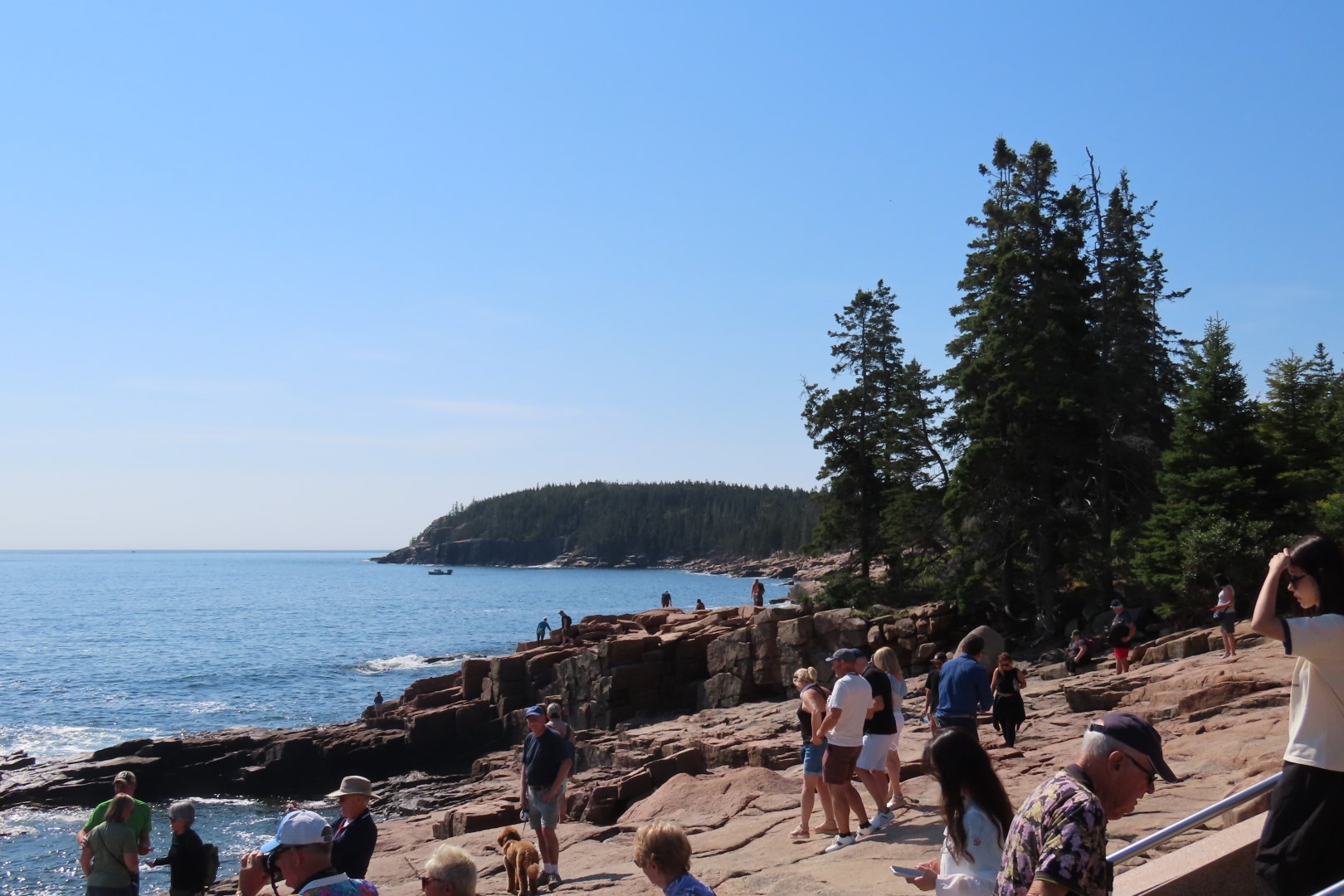 Acadia NP 40 of 46 (#8989)