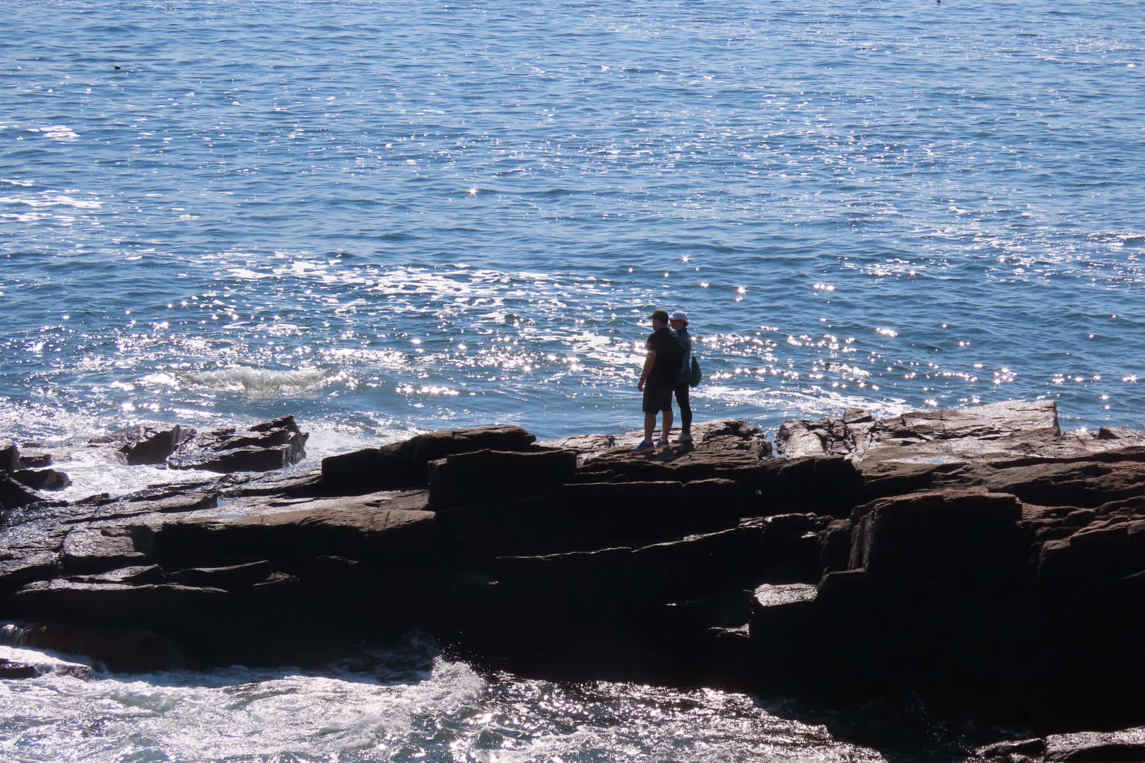 Acadia NP 41 of 46 (#8990)