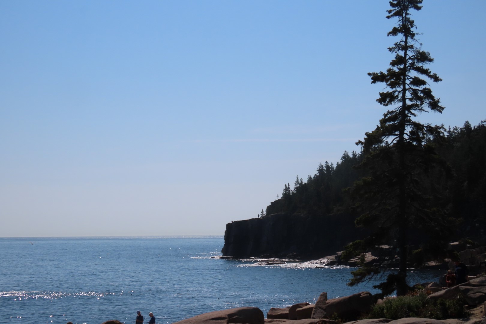 Acadia NP 44 of 46 (#8993)