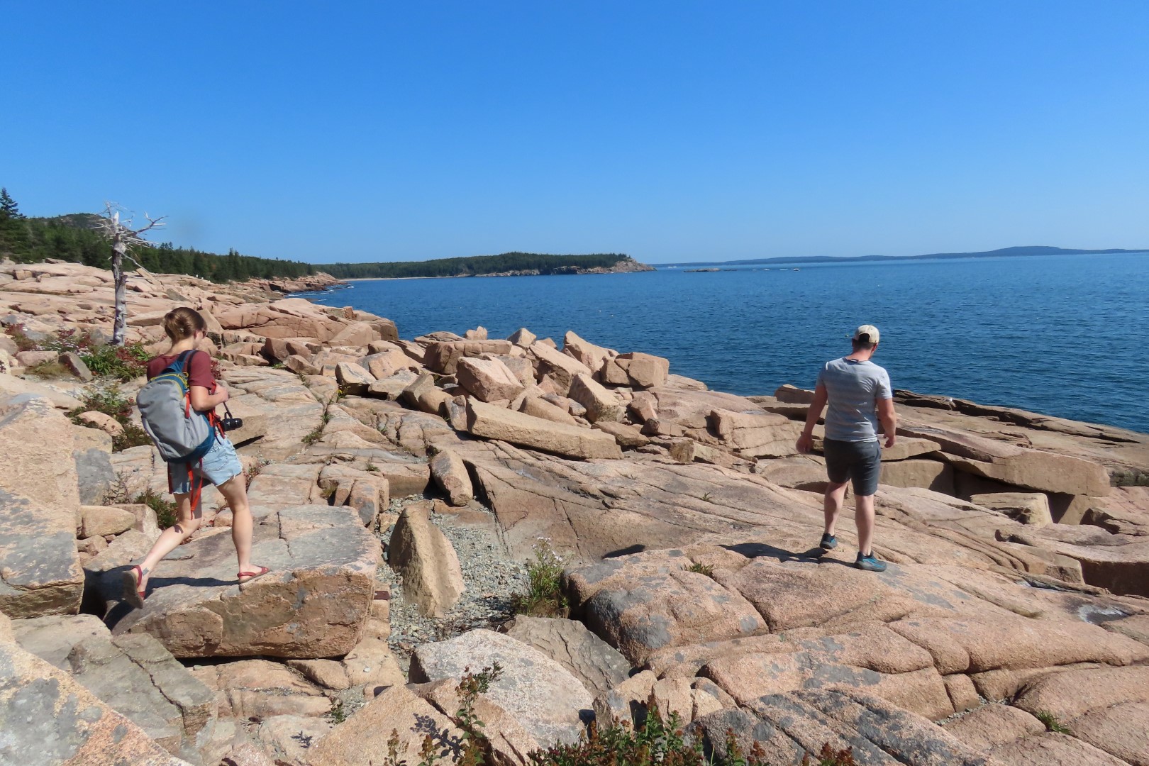 Acadia NP 45 of 46 (#8994)