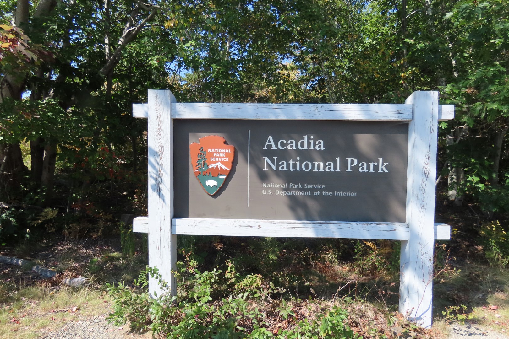 Bar Harbor Maine Hint of Fall Colors  1 of  1 (#8996)