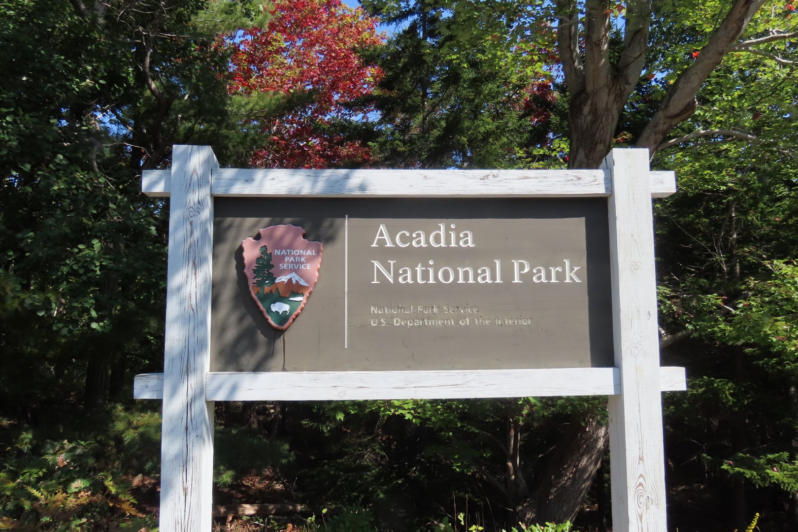 Acadia NP  2 of 46 (#8997)