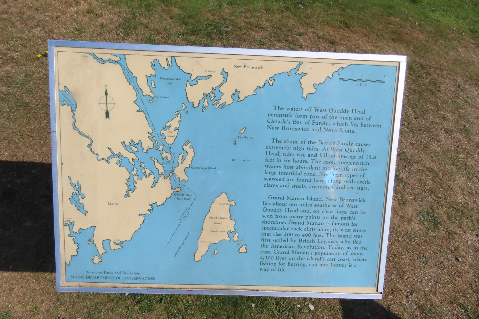 West Quoddy Head State Park in Lubec ME  2 of 10 (#9000)