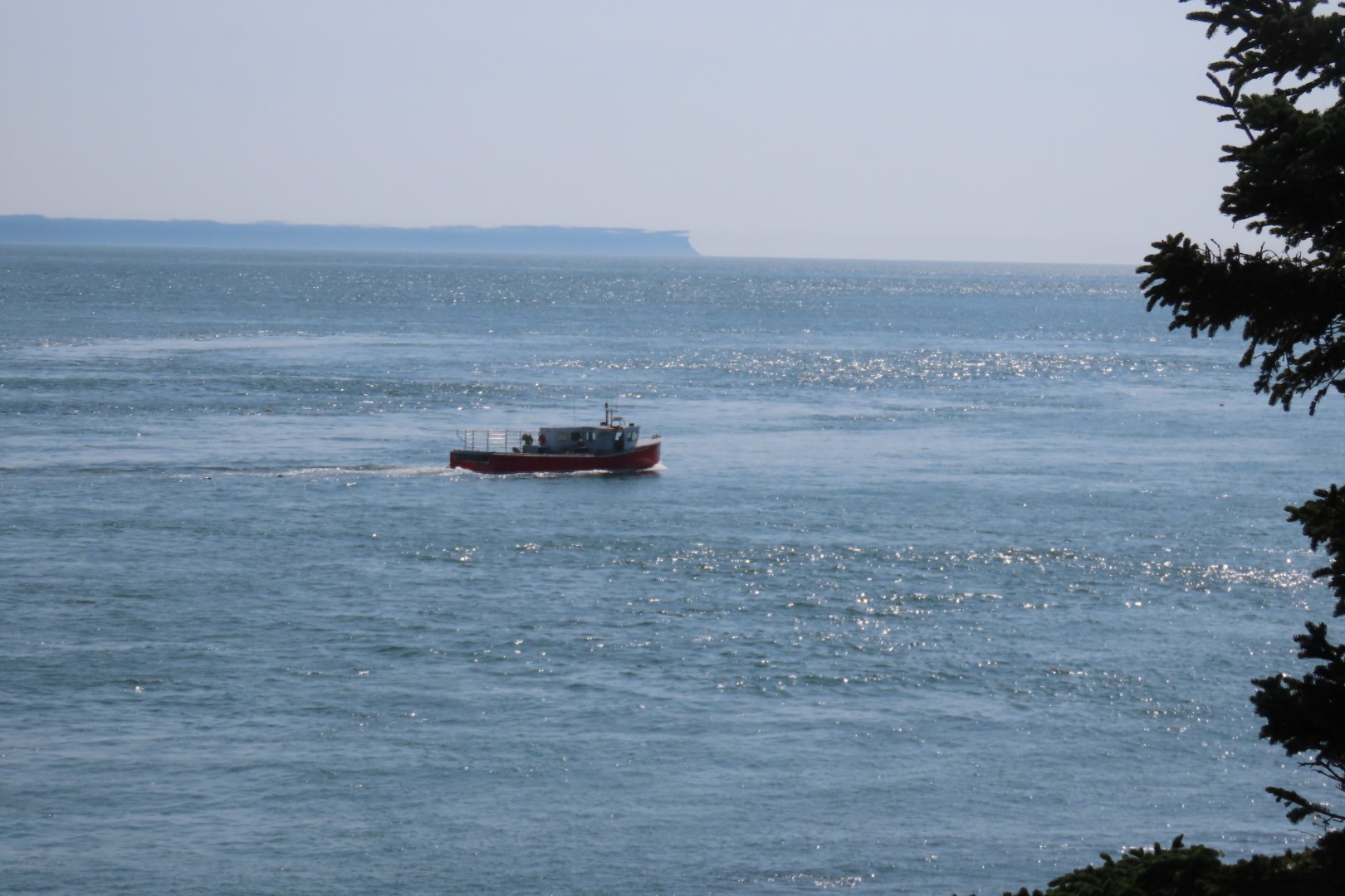 West Quoddy Head State Park in Lubec ME  5 of 10 (#9003)