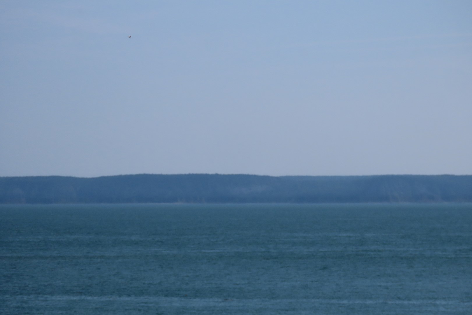 West Quoddy Head State Park in Lubec ME  8 of 10 (#9006)