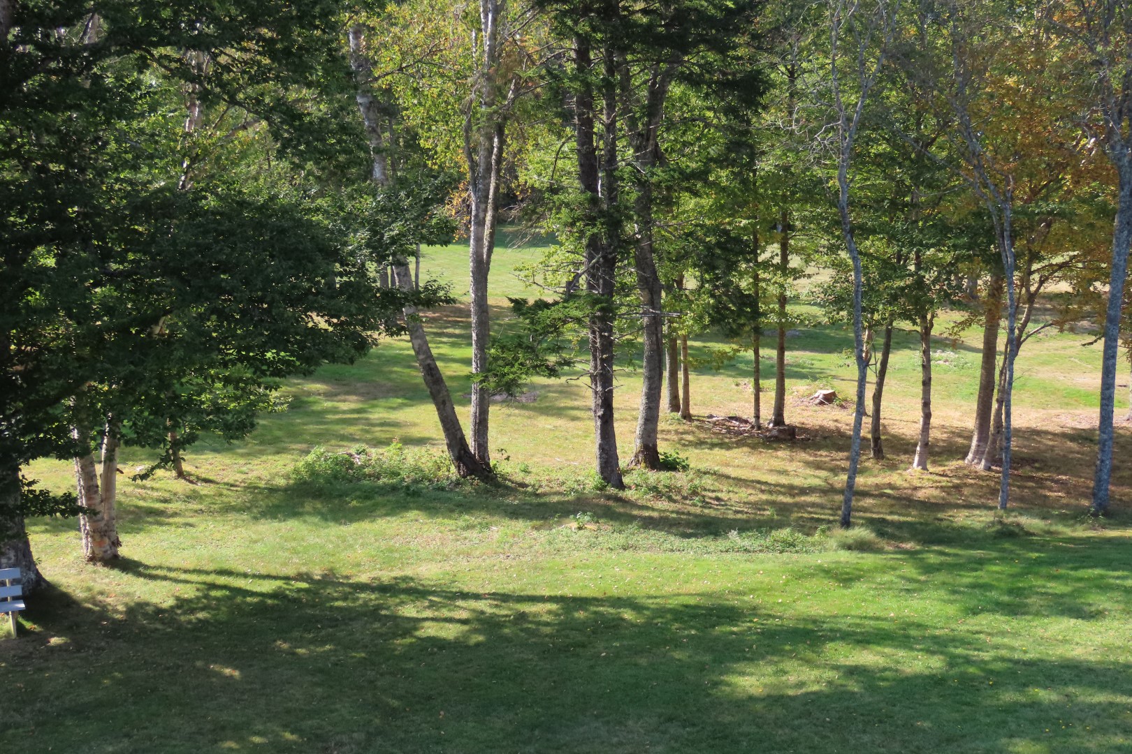 Campobello International Park - FDR Cottage NP 41 of 46 (#9053)