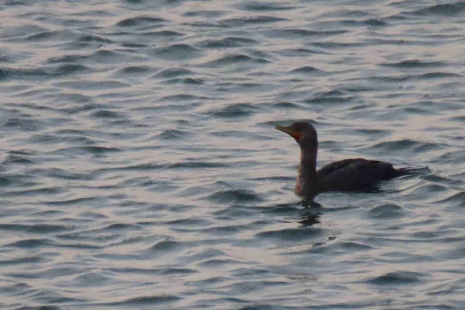 Views from Inn on the wharf in Lubec ME  8 of 15 (#9065)