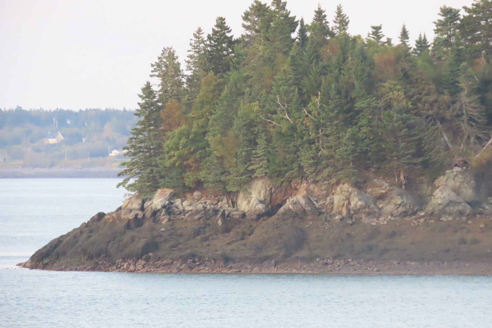 Views from Inn on the wharf in Lubec ME  6 of 15 (#9070)