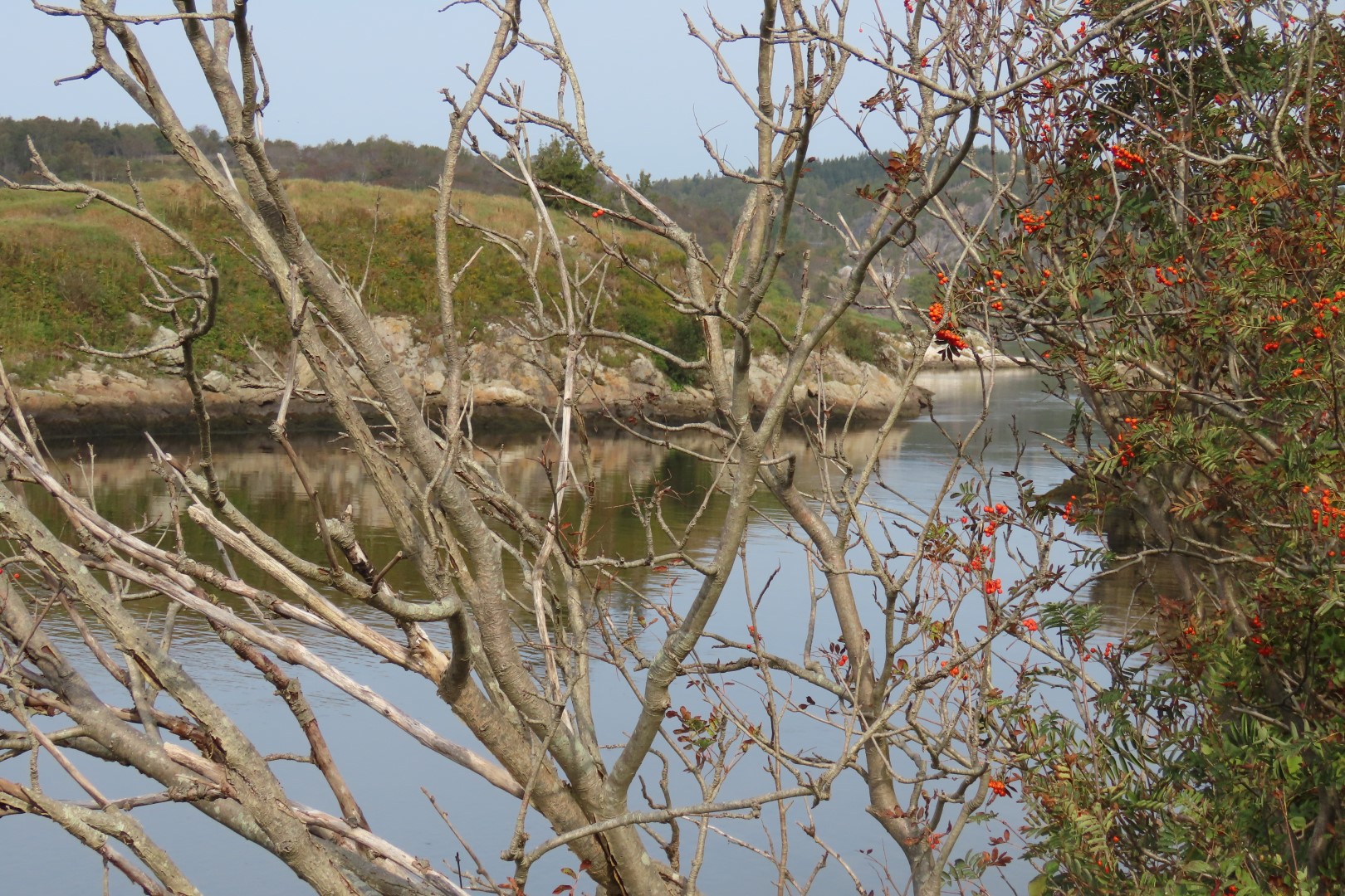 Reversing Falls at Low Tide in St John NP  7 of 10 (#9109)