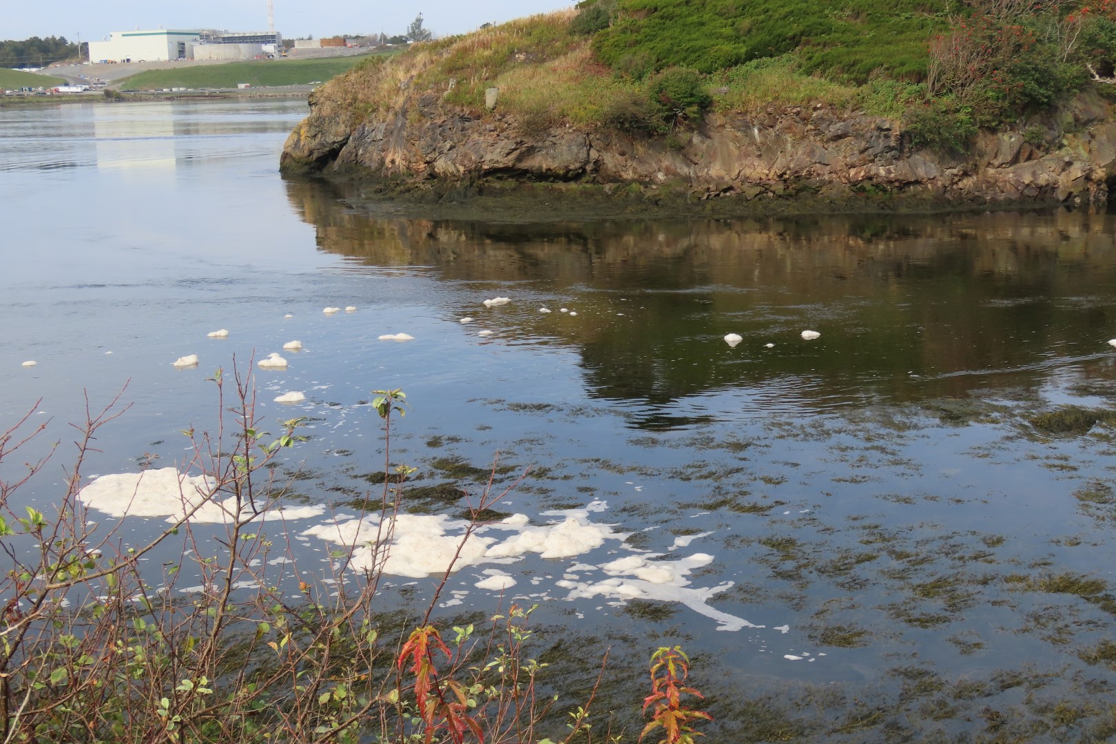 Reversing Falls at Low Tide in St John NP  8 of 10 (#9110)