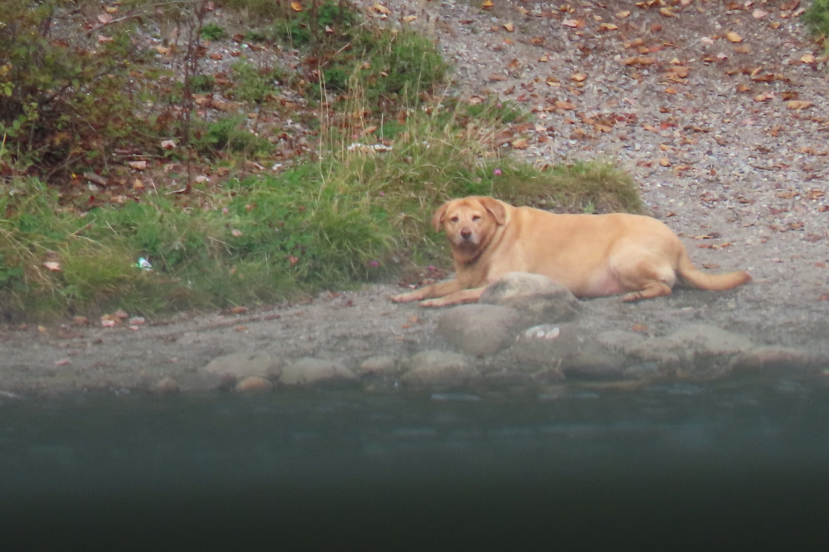 Rockwood Park and Lily's Restaurant in St John NP  8 of 10 (#9158)