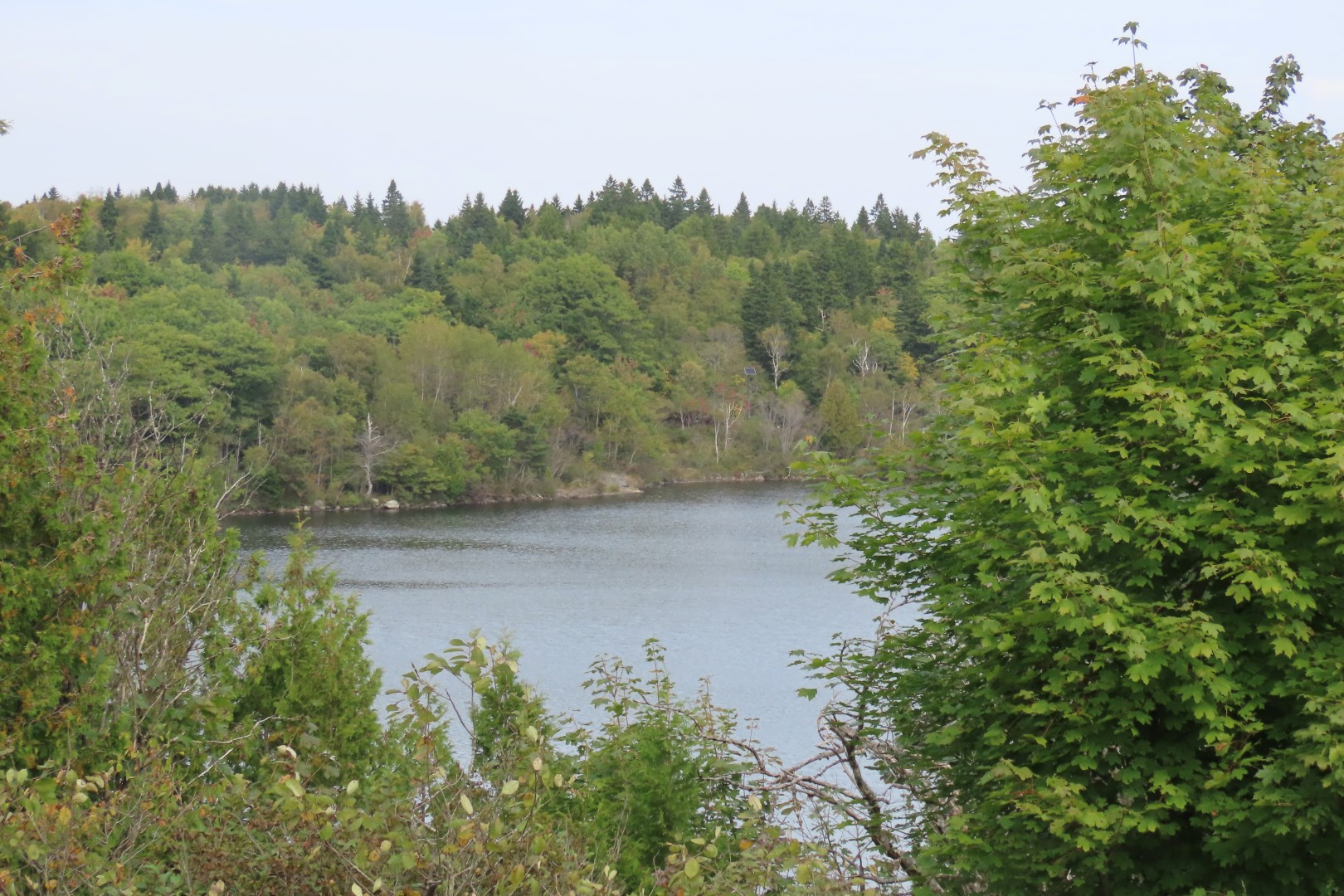 Rockwood Park and Lily's Restaurant in St John NP  4 of 10 (#9163)