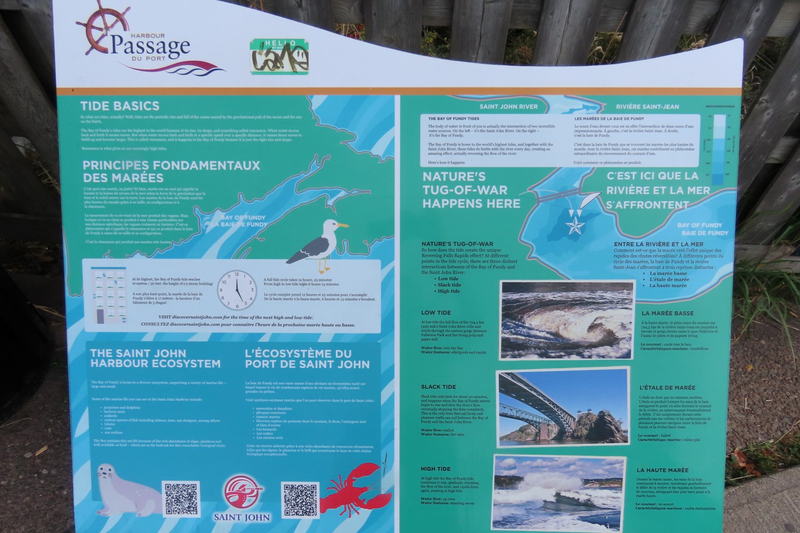 Reversing Falls at High Tide in St John NP  2 of 36 (#9172)