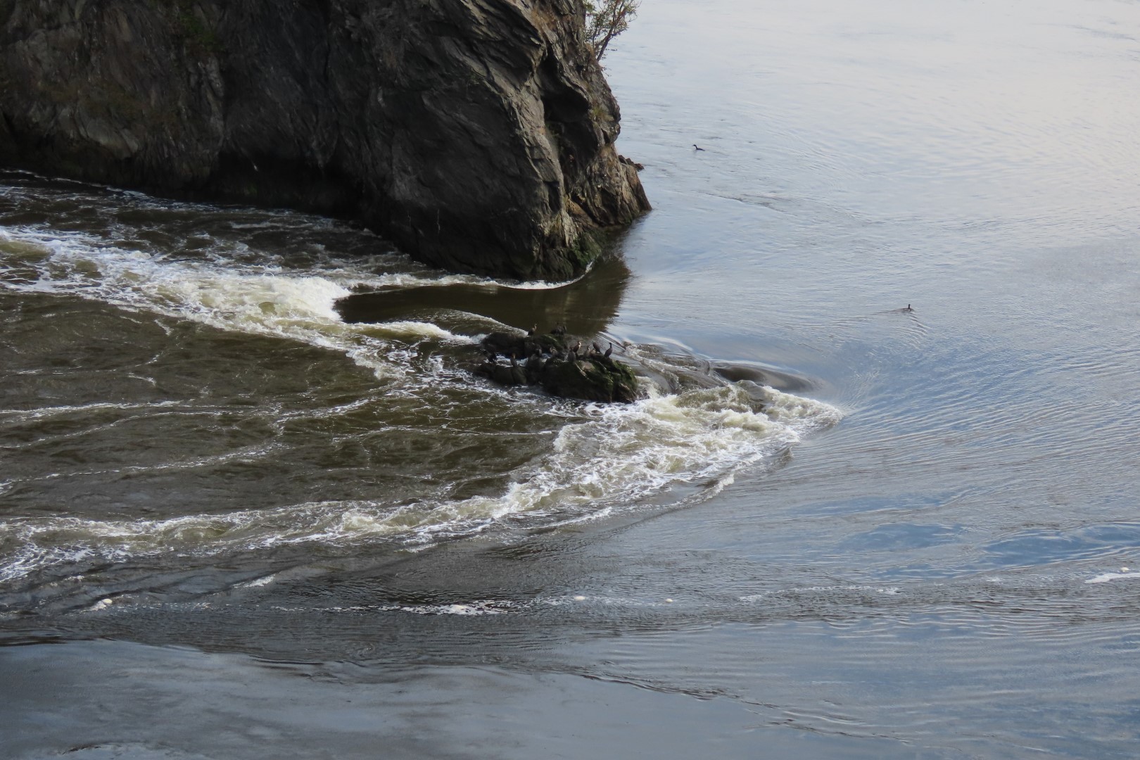 Reversing Falls at High Tide in St John NP  6 of 36 (#9174)