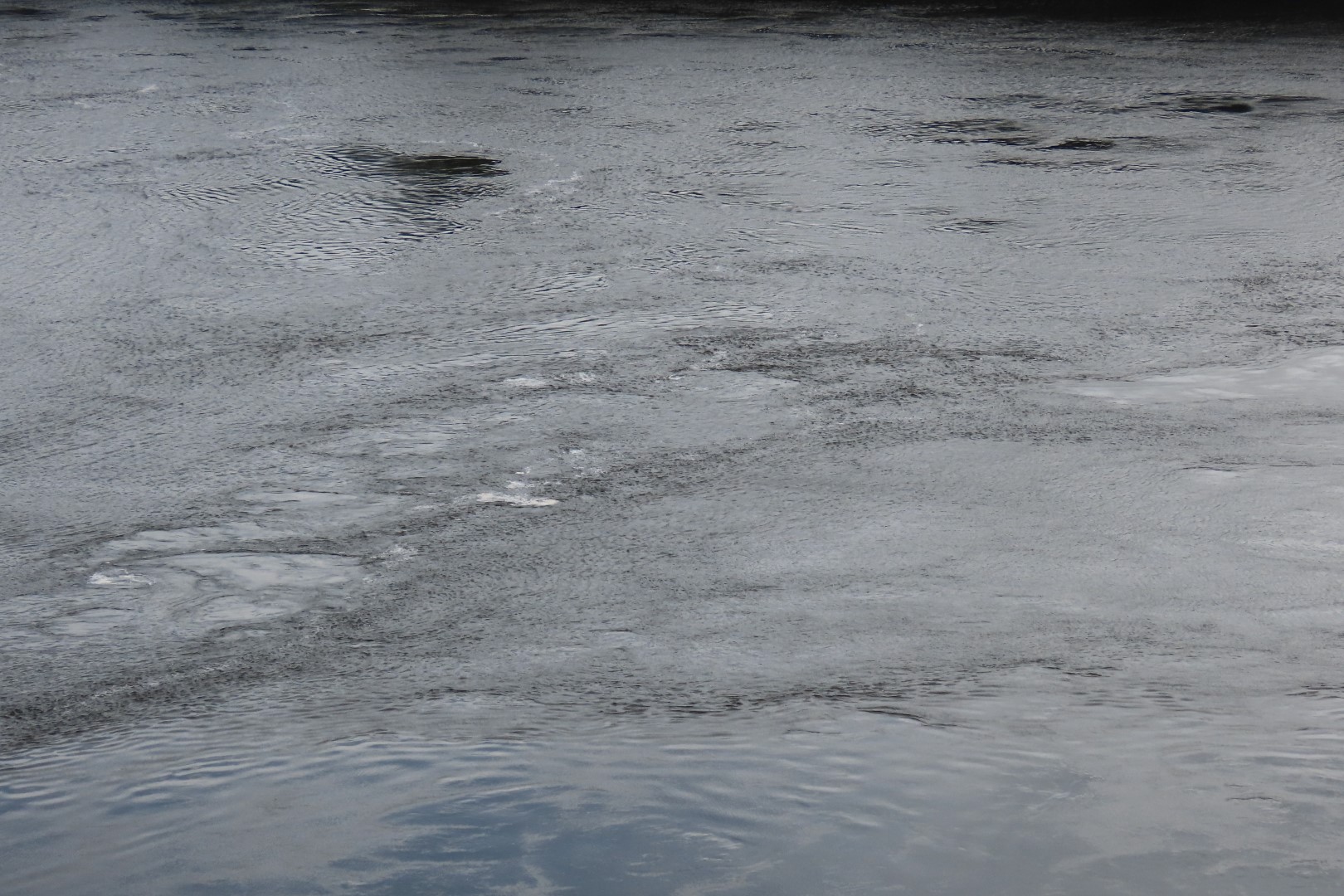 Reversing Falls at High Tide in St John NP 15 of 36 (#9175)