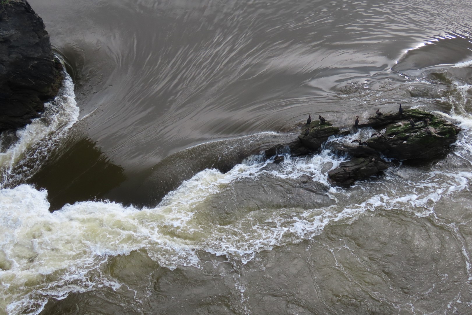 Reversing Falls at High Tide in St John NP 19 of 36 (#9179)