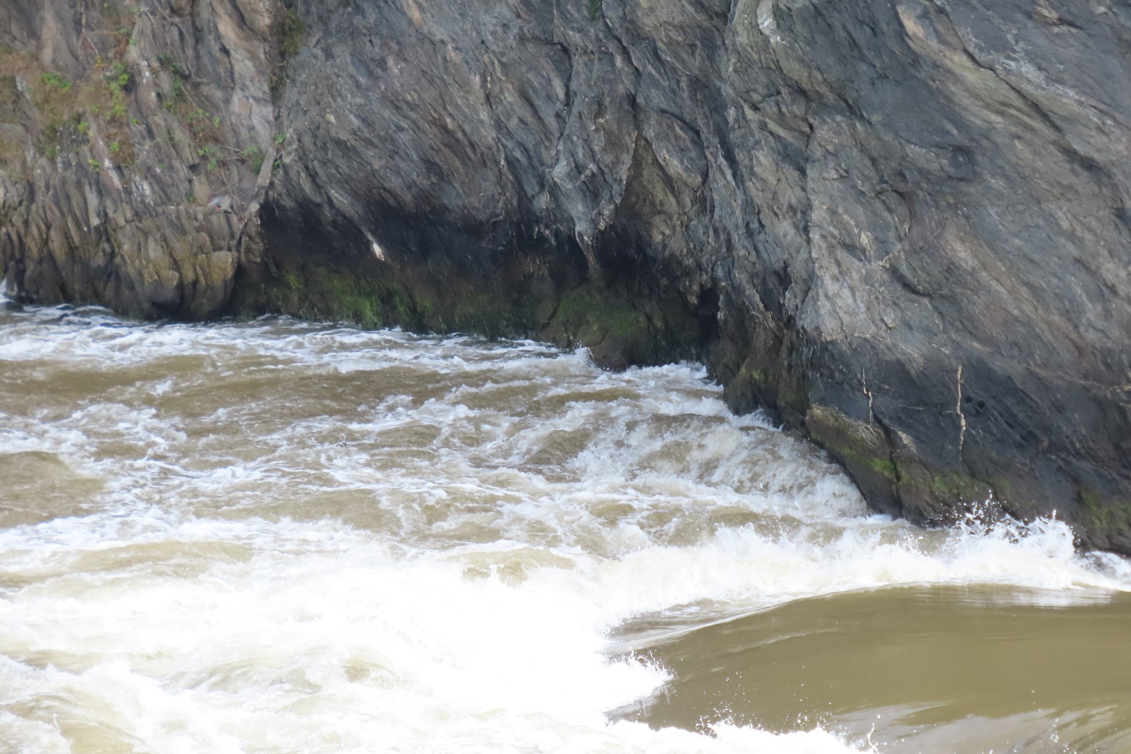 Reversing Falls at High Tide in St John NP 10 of 36 (#9191)