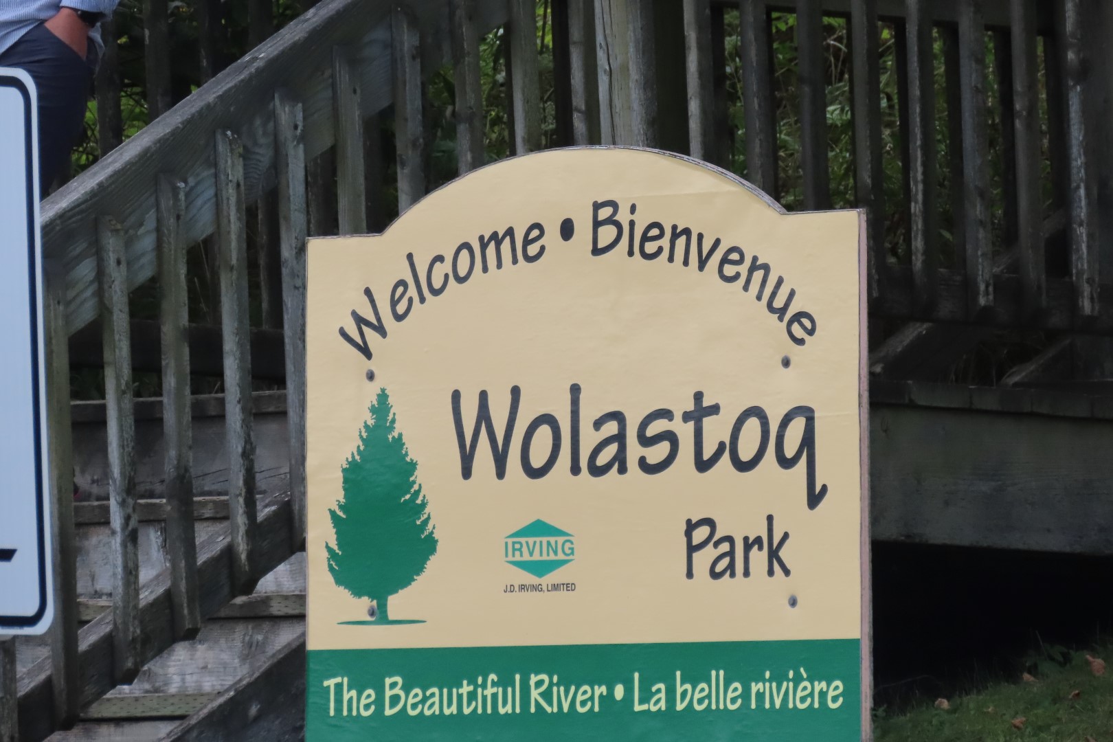 Reversing Falls at High Tide in St John NP  1 of 36 (#9192)