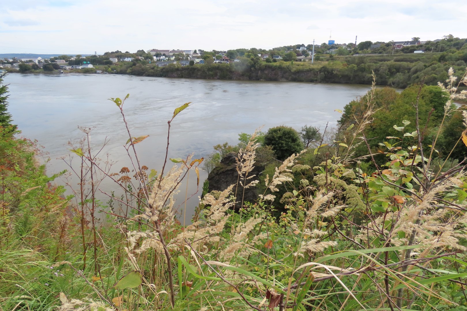 Reversing Falls at High Tide in St John NP 13 of 36 (#9200)