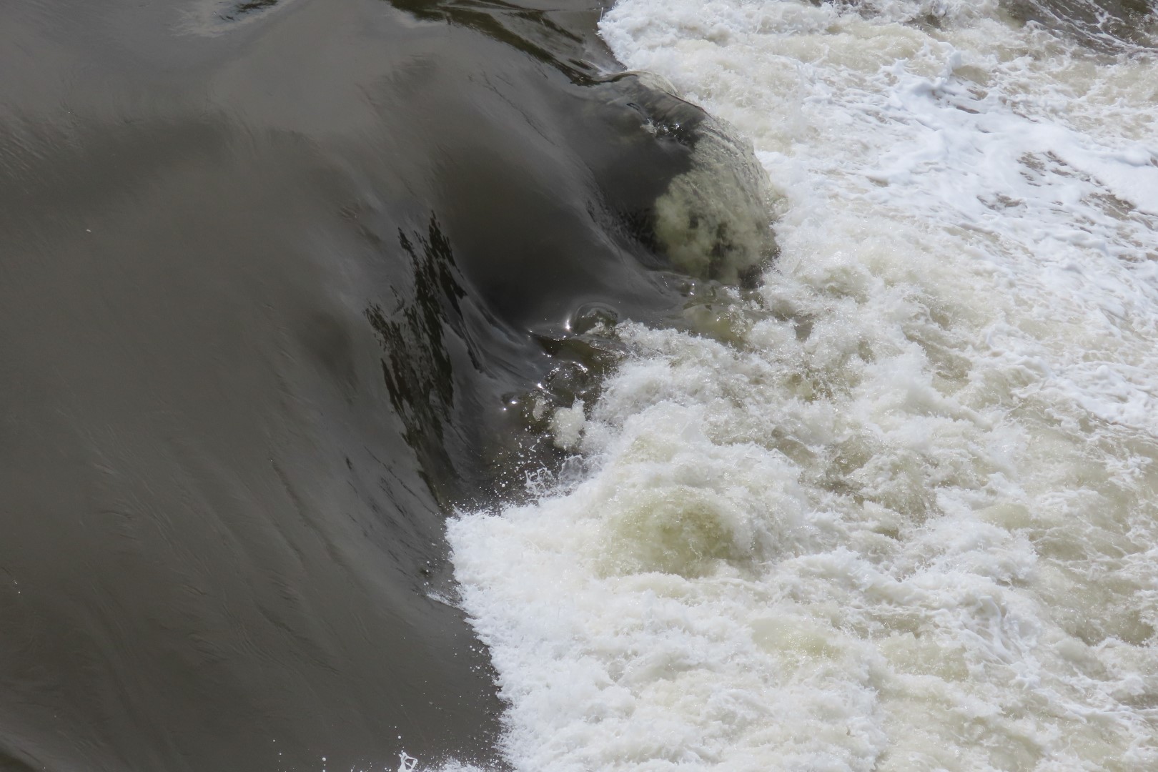 Reversing Falls at High Tide in St John NP 30 of 36 (#9211)