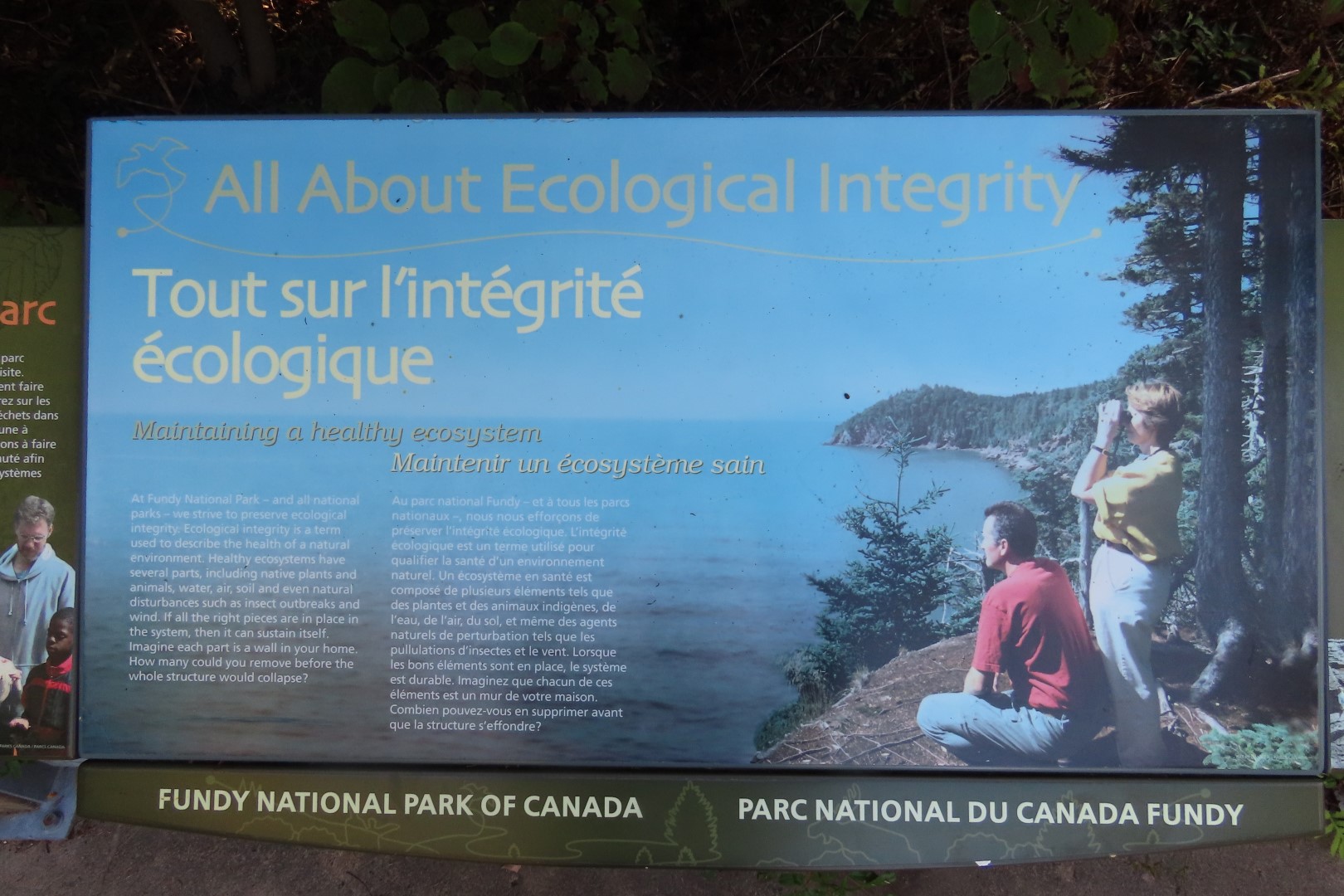 Dickson Falls in Fundy NP  5 of 24 (#9250)