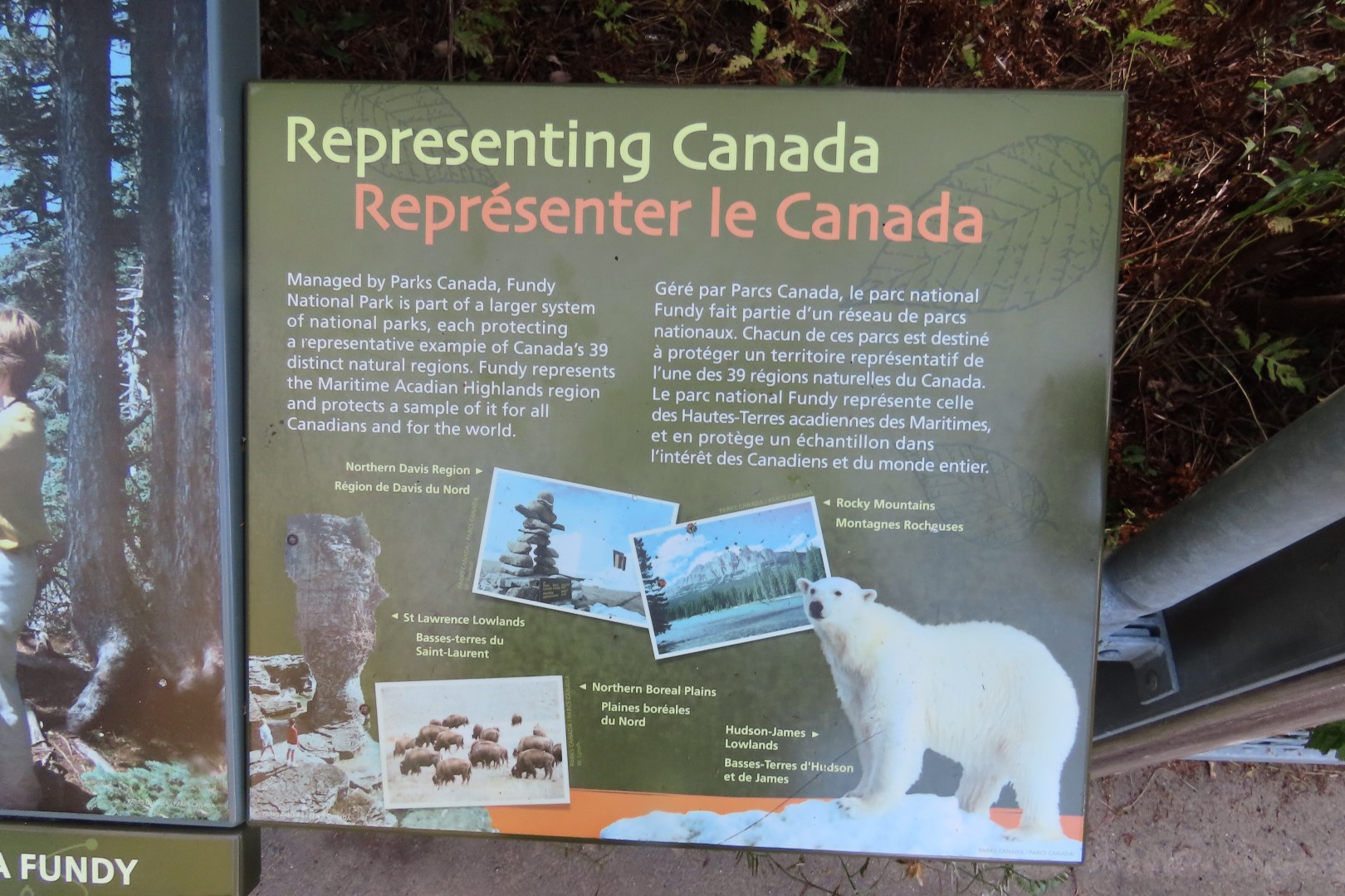 Dickson Falls in Fundy NP  6 of 24 (#9251)