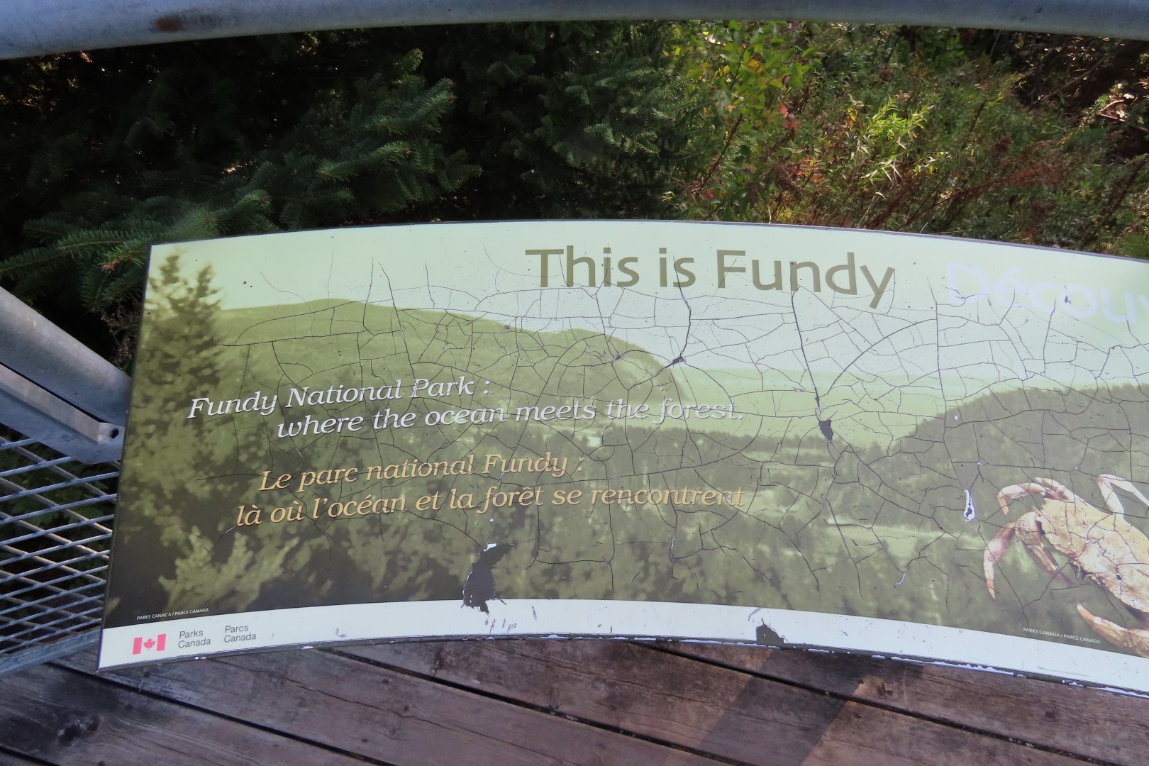 Dickson Falls in Fundy NP  2 of 24 (#9252)