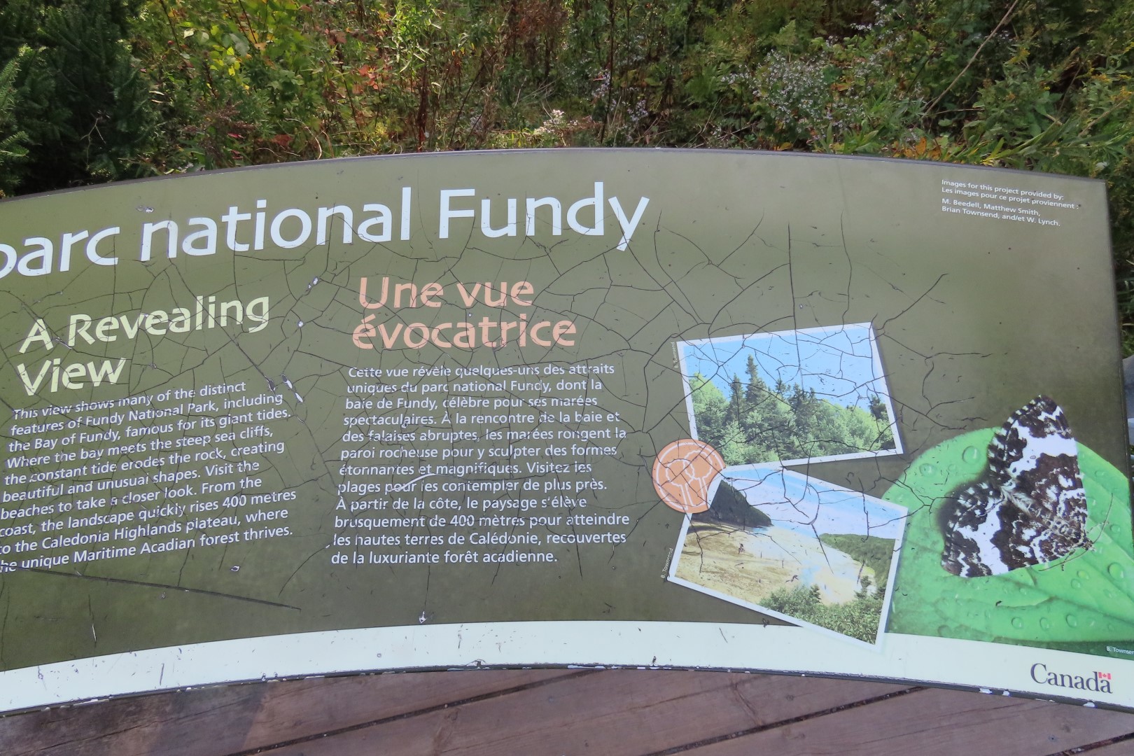 Dickson Falls in Fundy NP  3 of 24 (#9253)