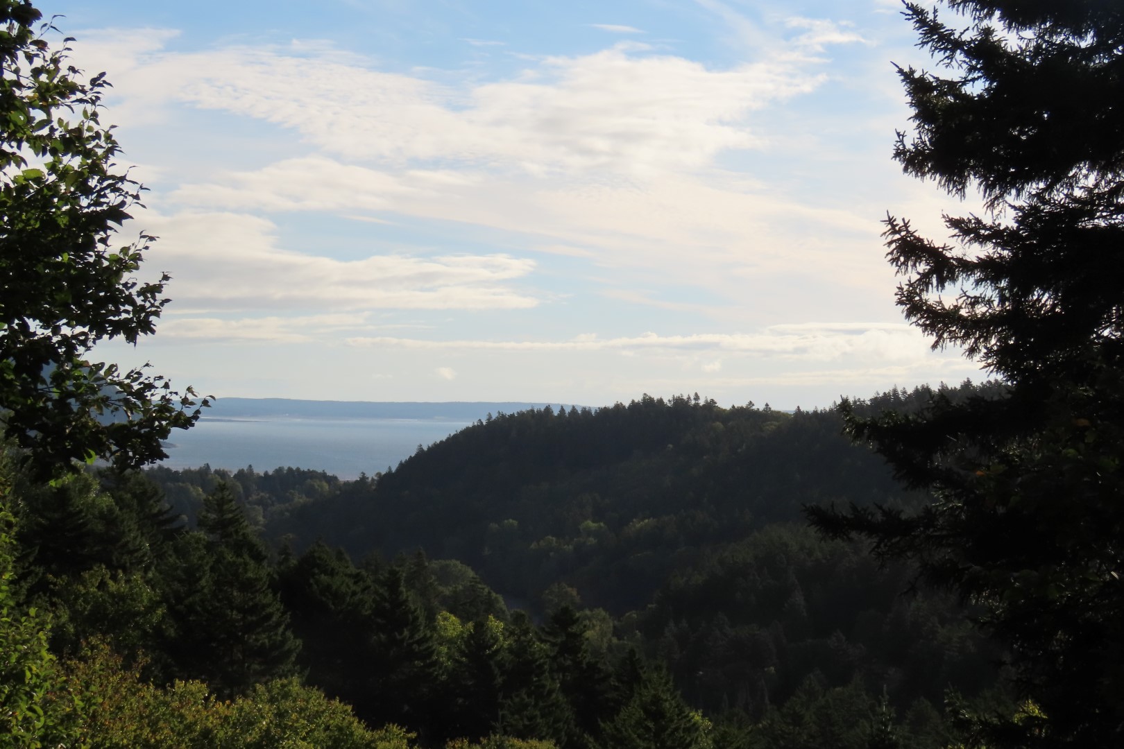 Dickson Falls in Fundy NP 18 of 24 (#9254)