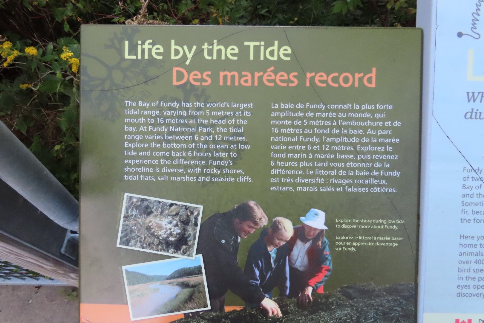 Dickson Falls in Fundy NP  7 of 24 (#9255)
