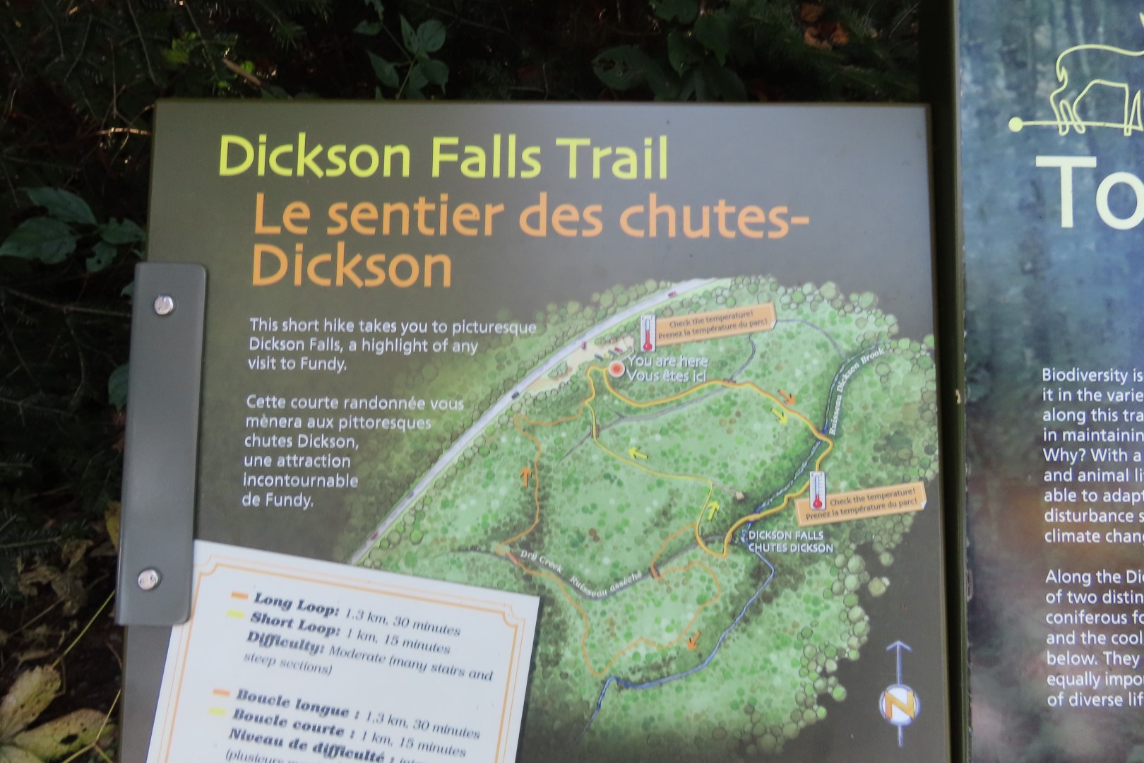 Dickson Falls in Fundy NP 10 of 24 (#9258)